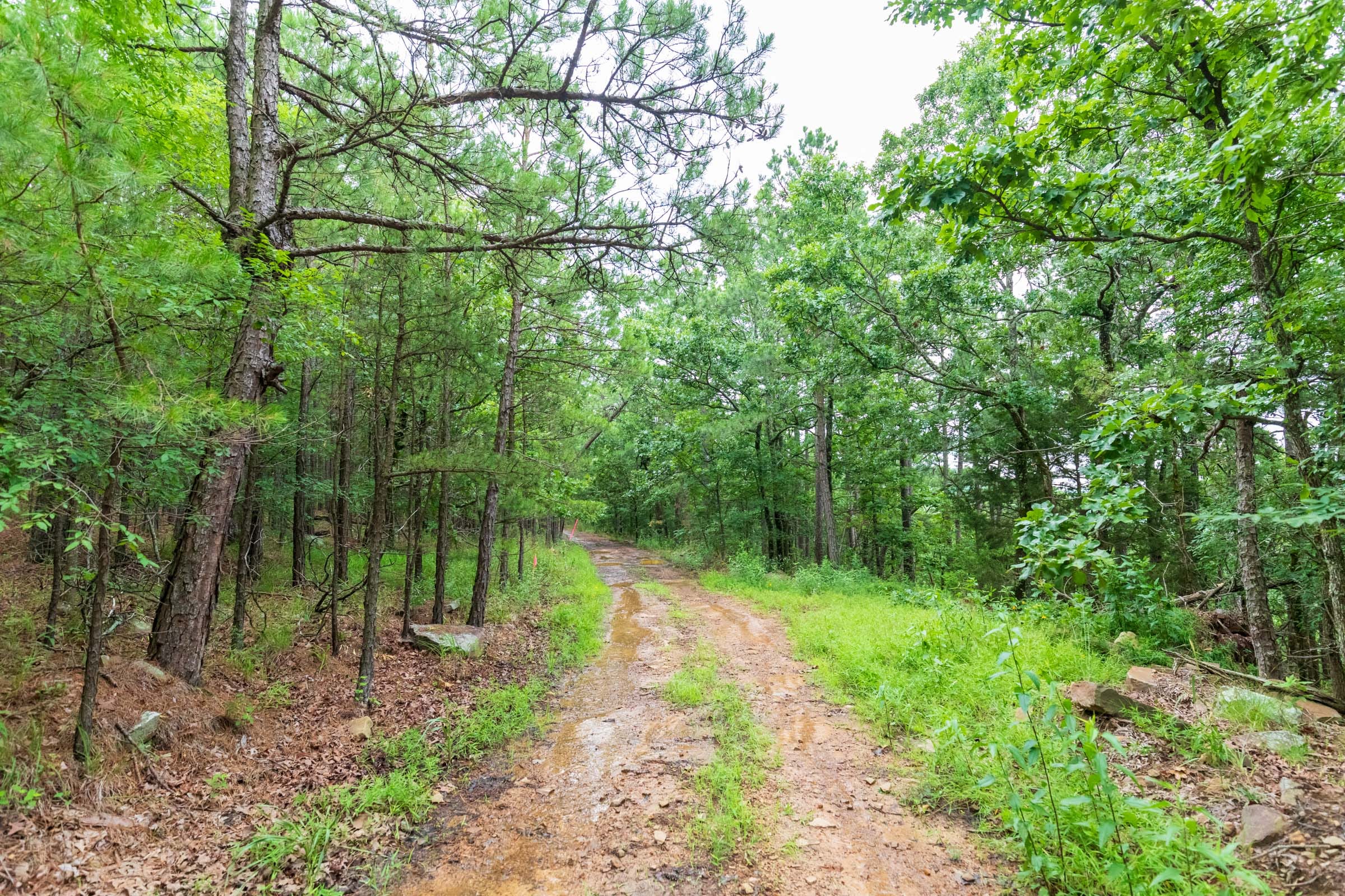 Stone Bridge Phase VI Tract 438 photo 12