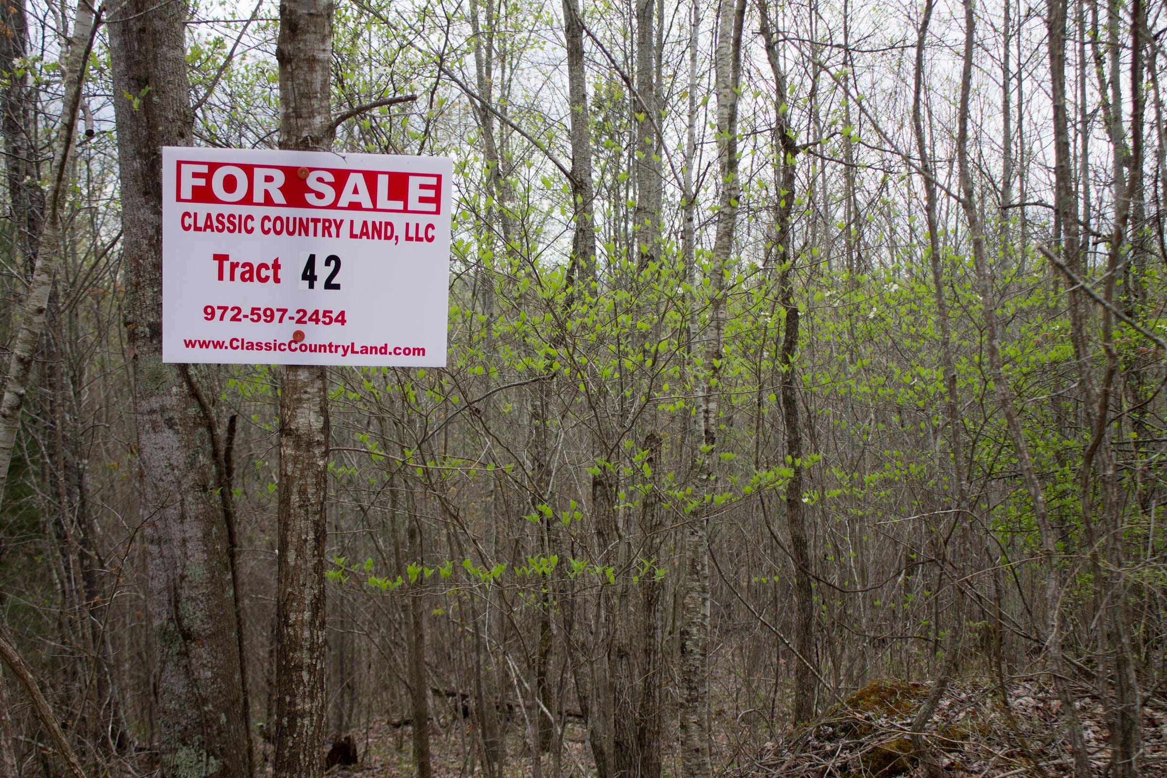 Hidden Hills Tract 42 photo 1