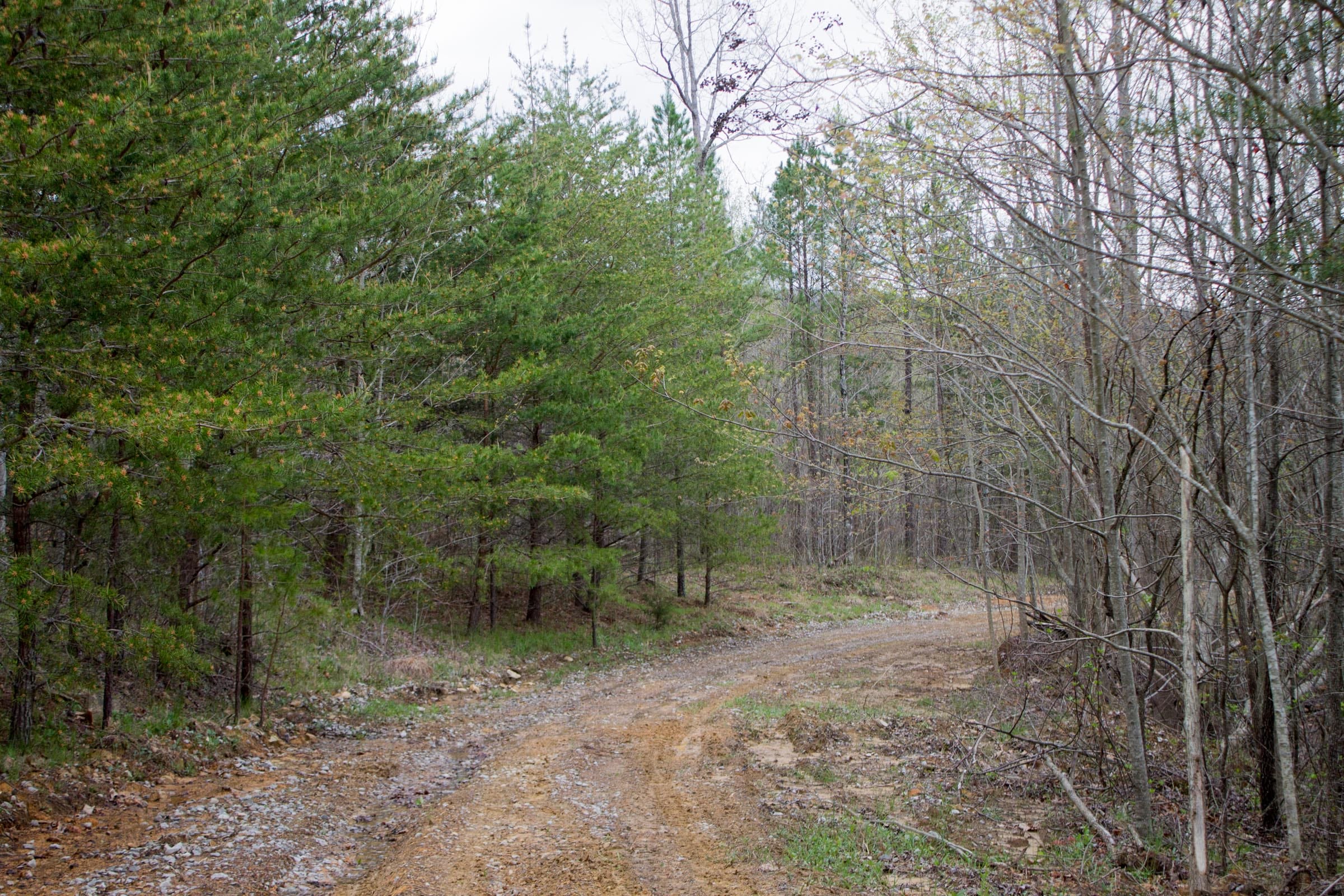Hidden Hills Tract 42 photo 2