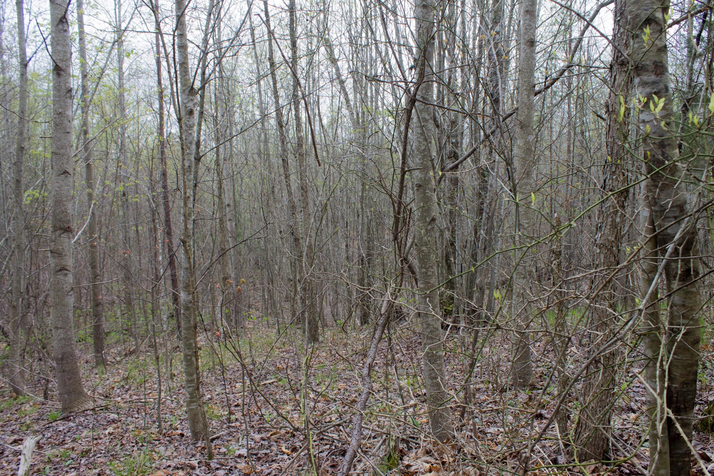 Hidden Hills Tract 42 photo 4
