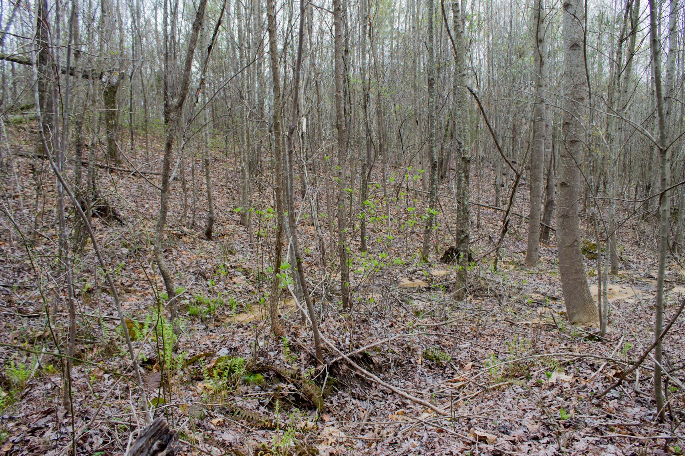 Hidden Hills Tract 42 photo 5