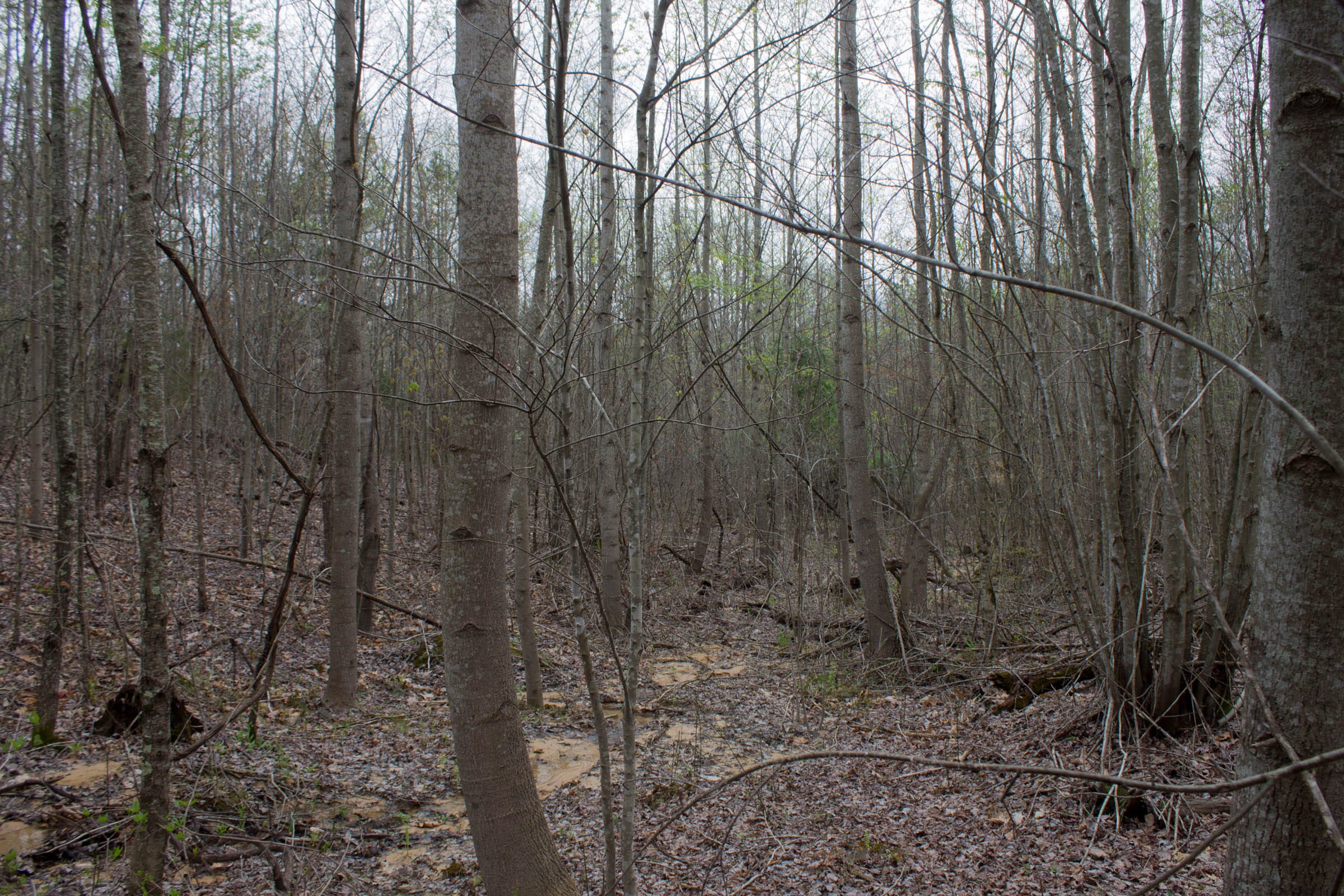 Hidden Hills Tract 42 photo 6