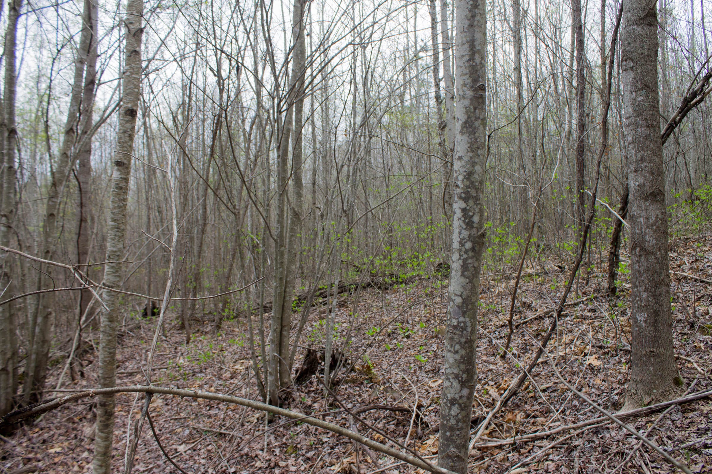 Hidden Hills Tract 42 photo 7