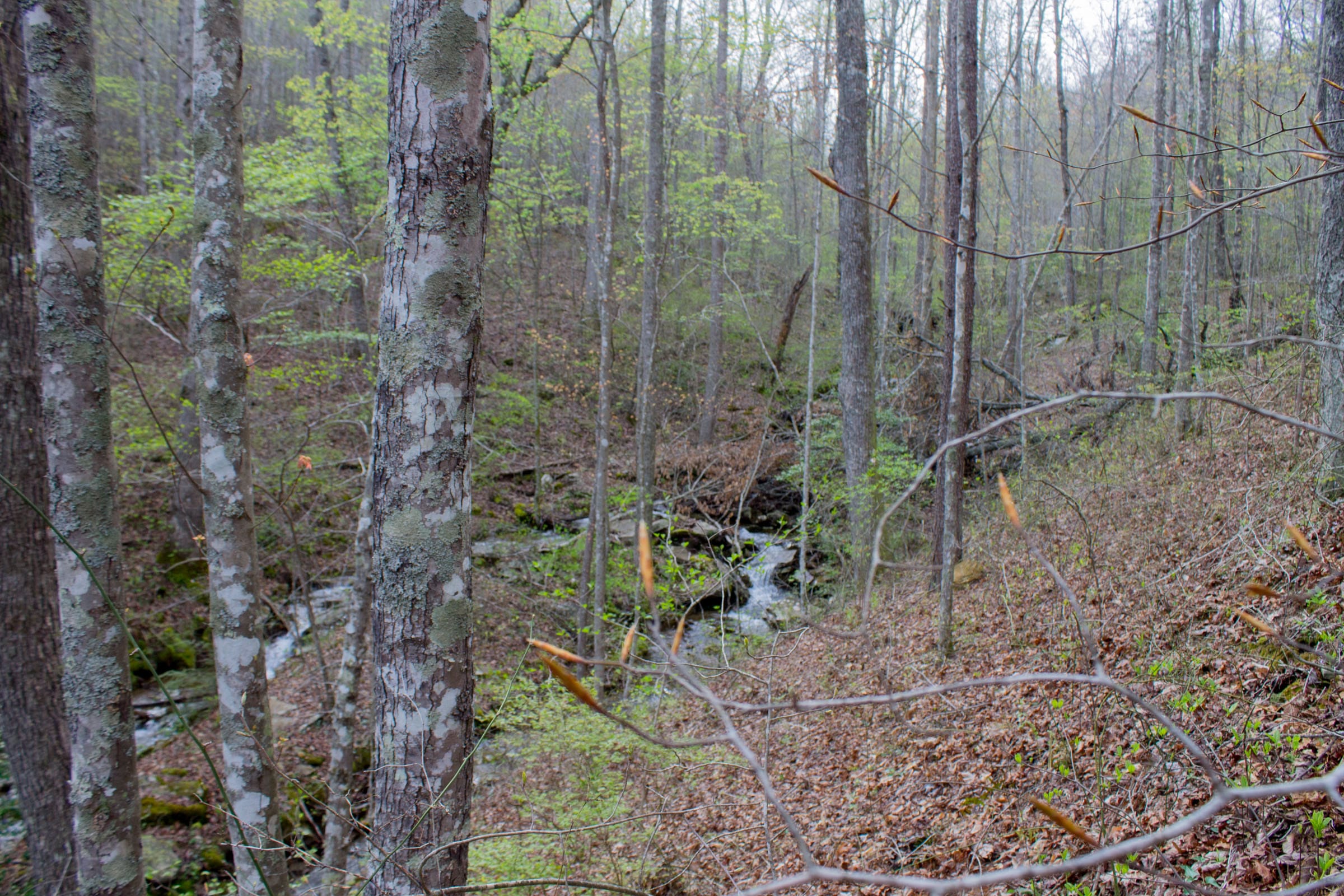Hidden Hills Tract 42 photo 9