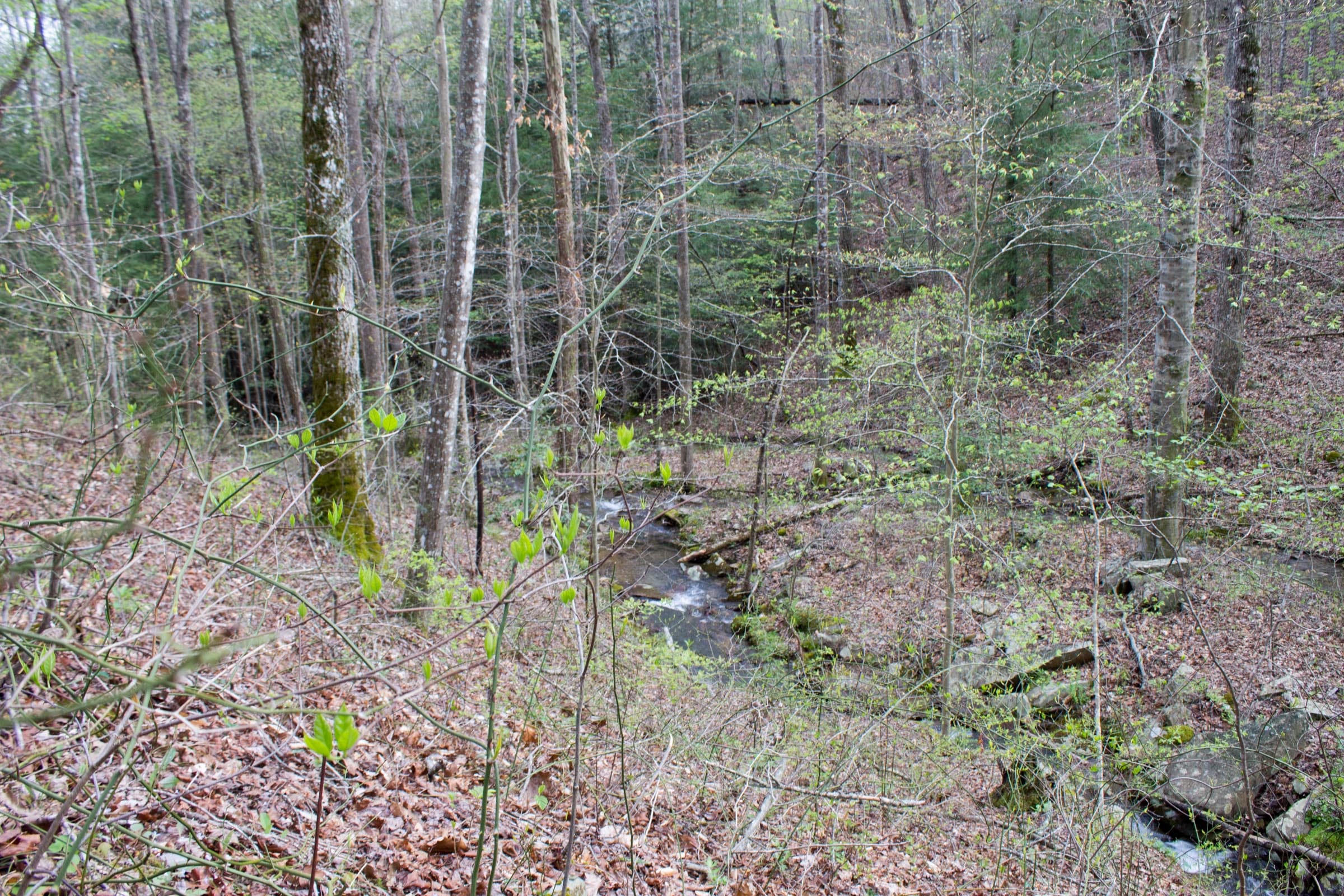 Hidden Hills Tract 42 photo 12