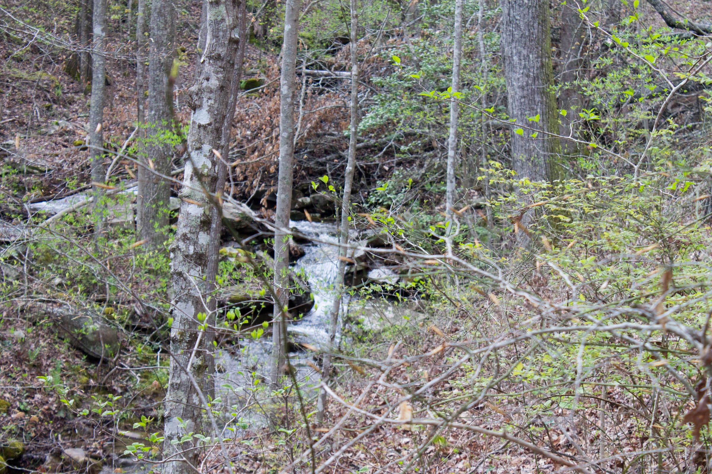 Hidden Hills Tract 42 photo 15