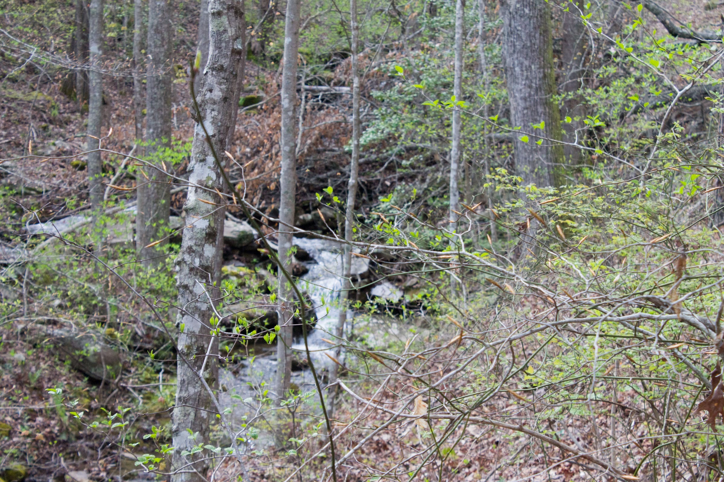 Hidden Hills Tract 42 photo 16