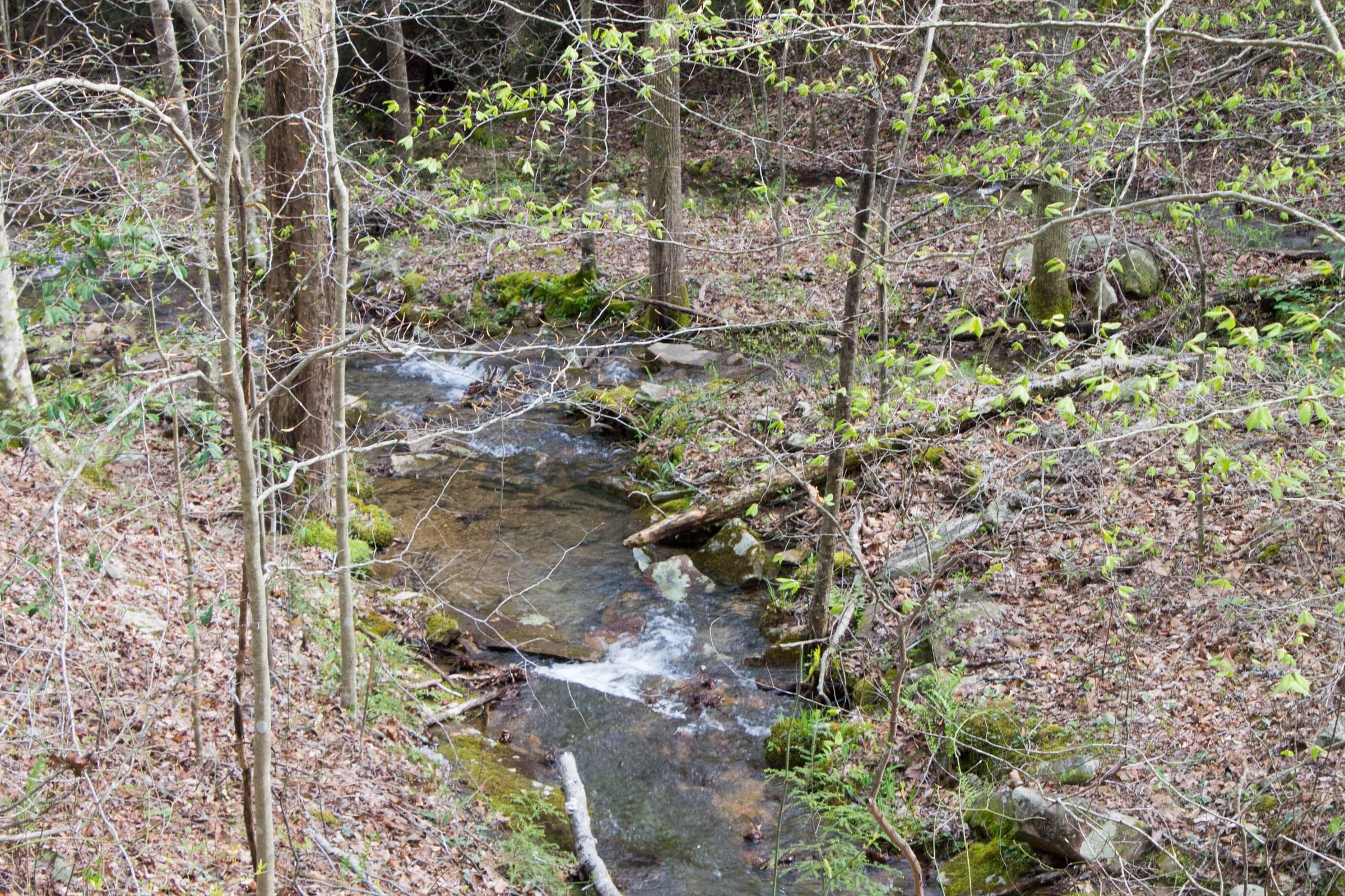 Hidden Hills Tract 42 photo 17