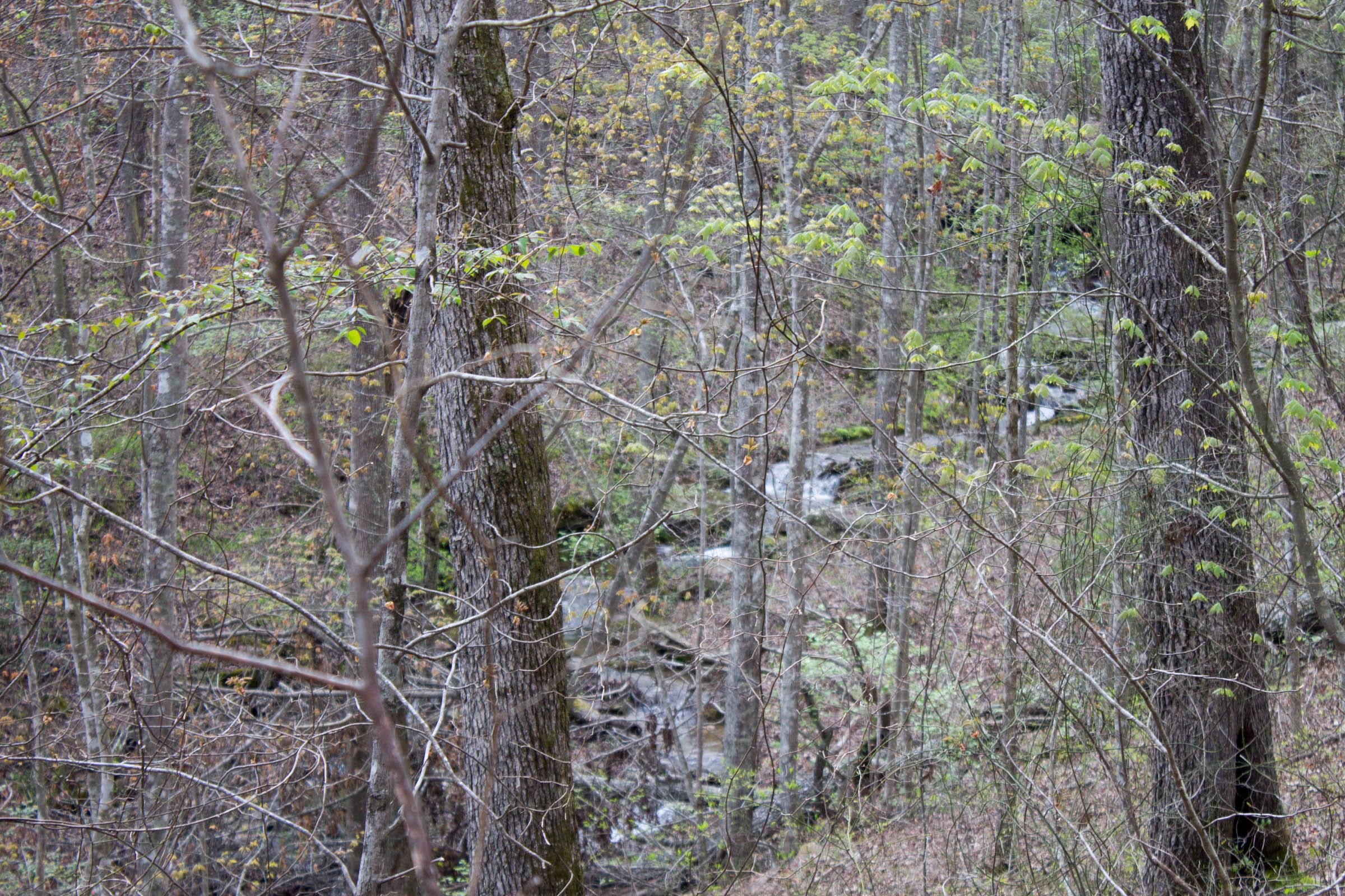 Hidden Hills Tract 42 photo 19