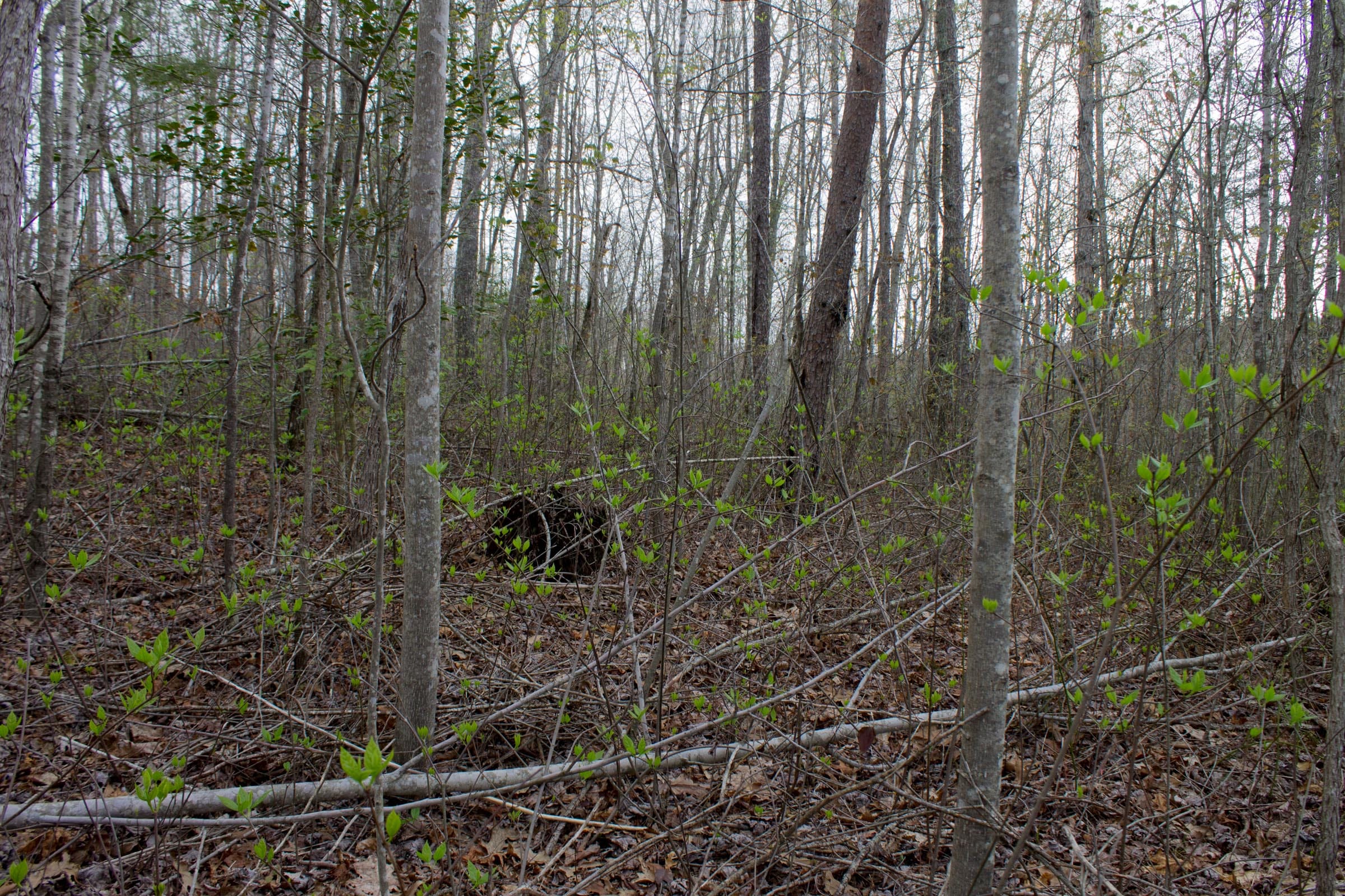 Hidden Hills Tract 23 photo 2