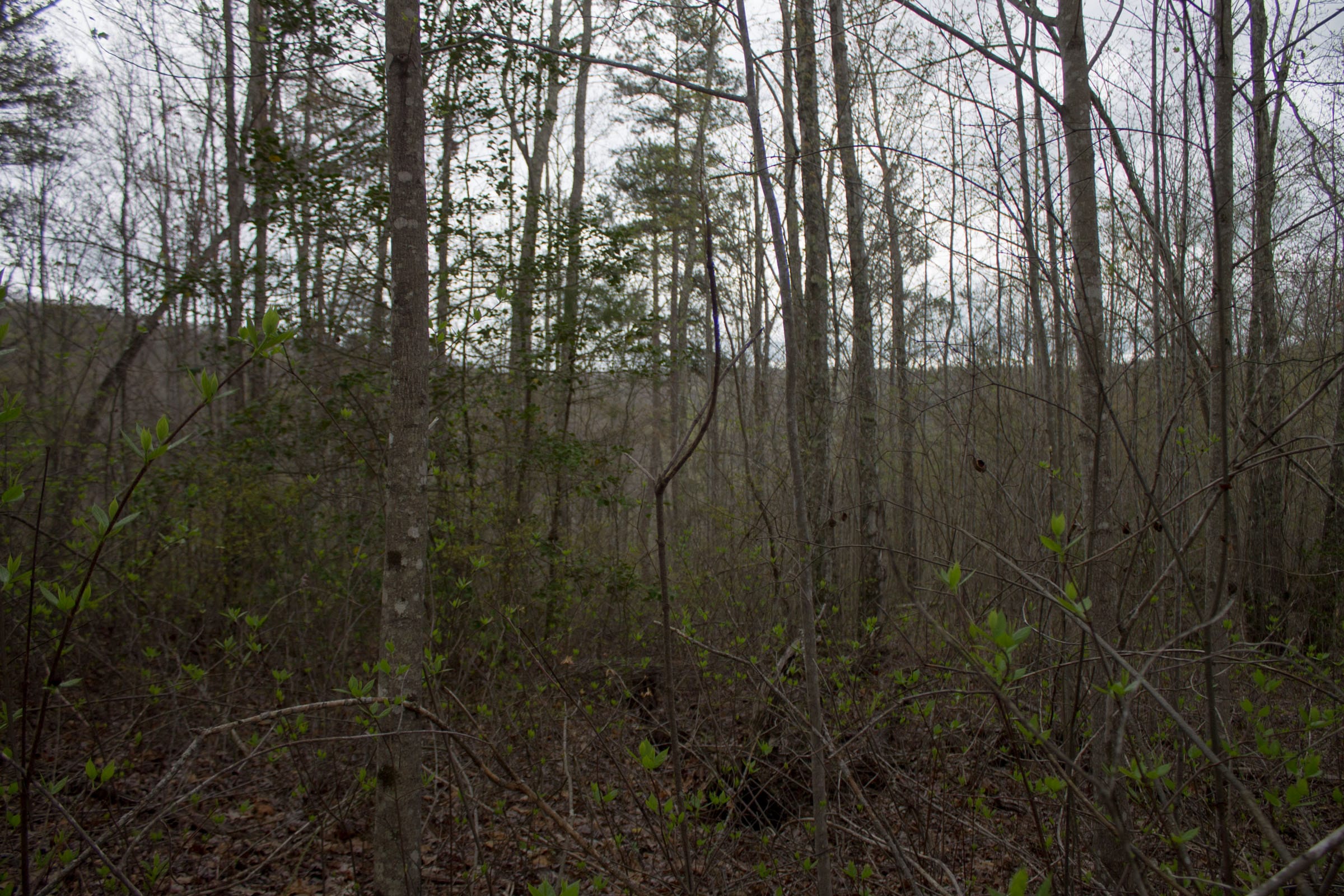 Hidden Hills Tract 23 photo 4