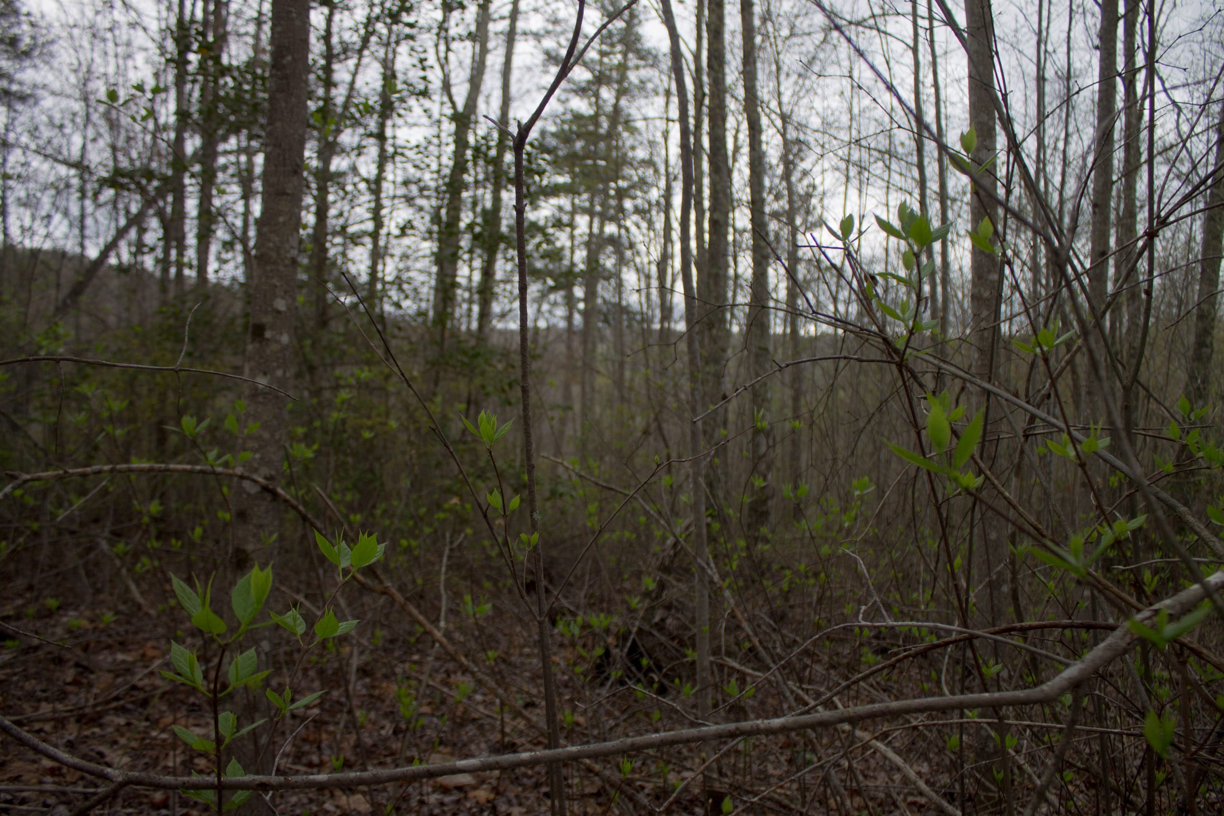 Hidden Hills Tract 23 photo 5