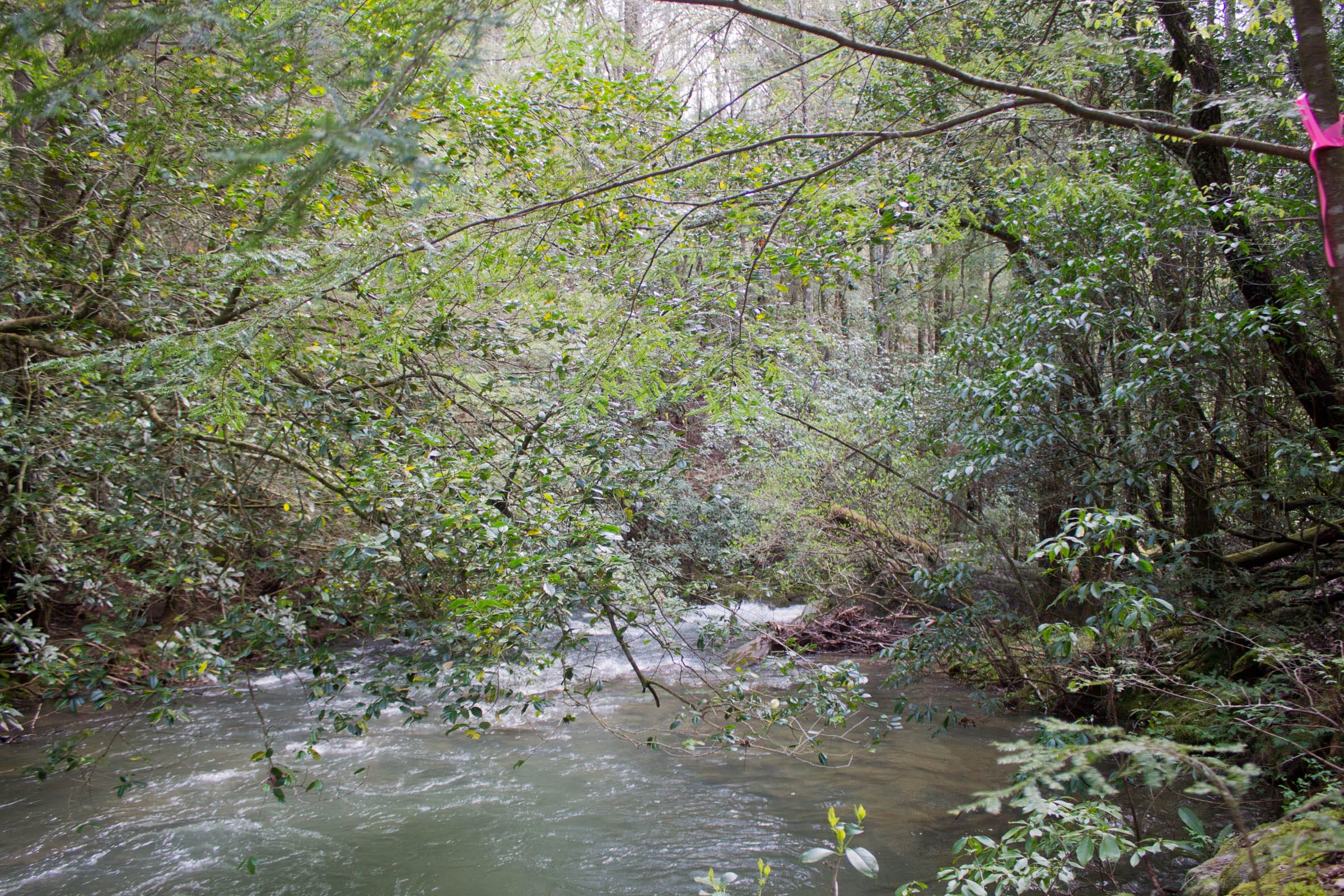 Hidden Hills Tract 23 photo 9