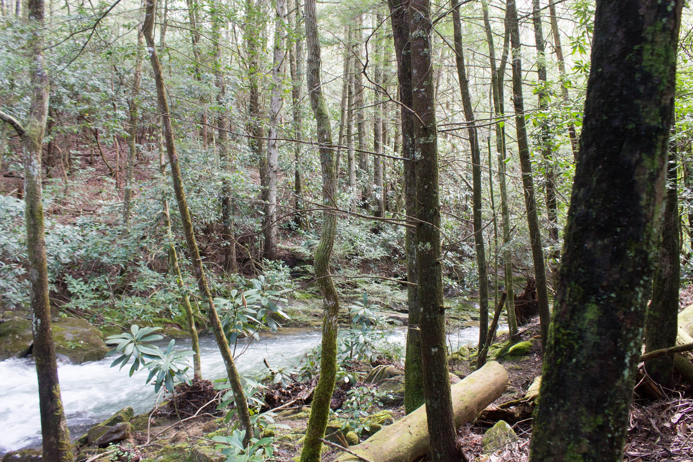 Hidden Hills Tract 23 photo 11