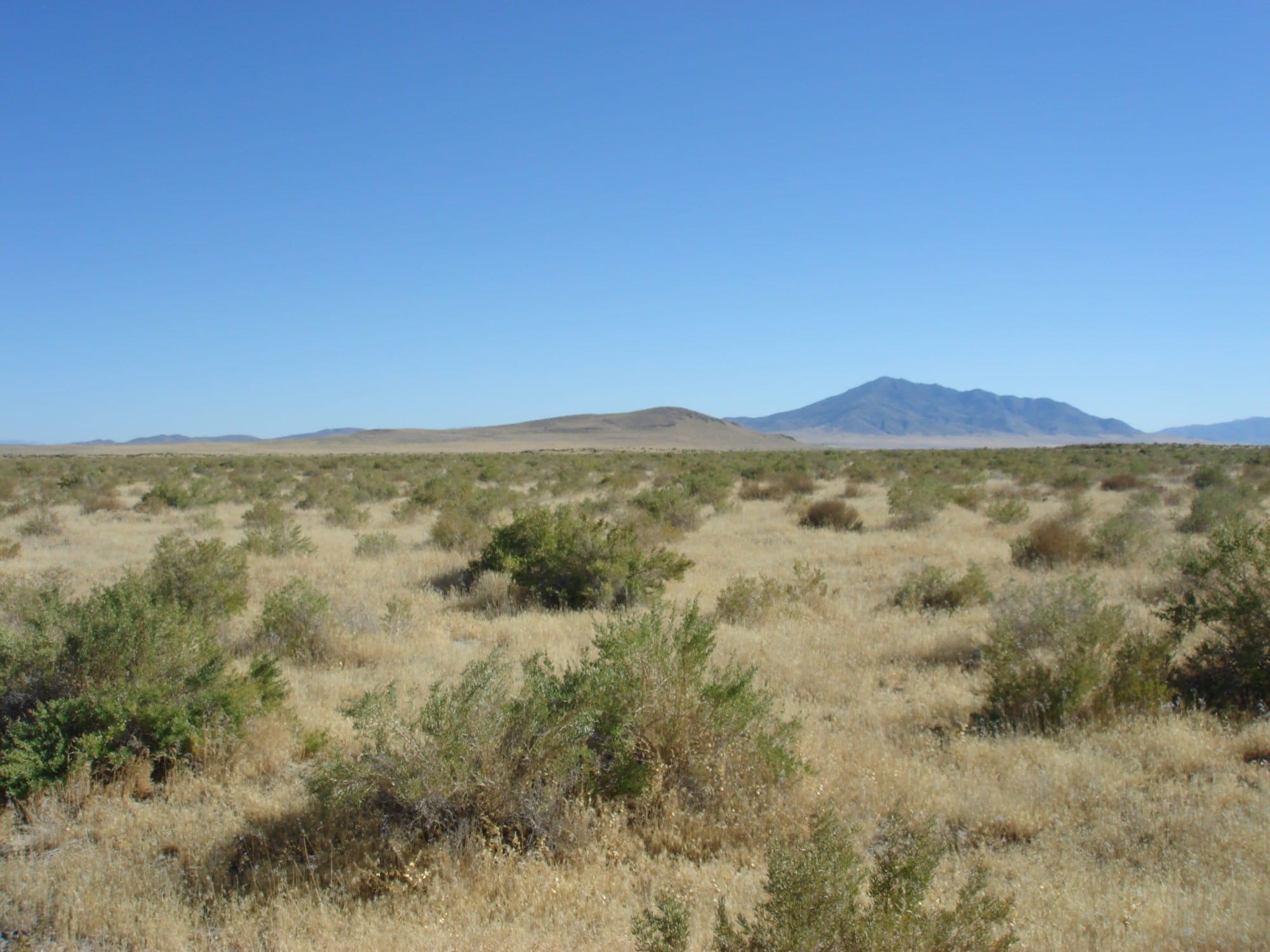 Humboldt County Tract 35 photo 2