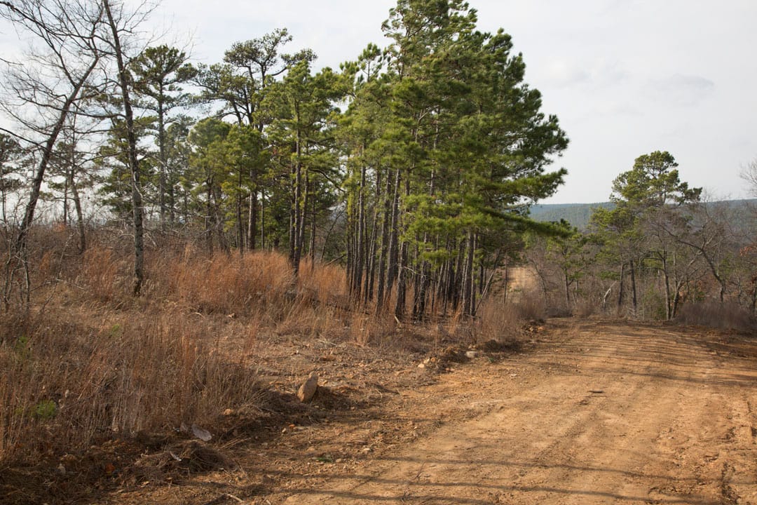 Stone Creek Phase III Tract 71 photo 2