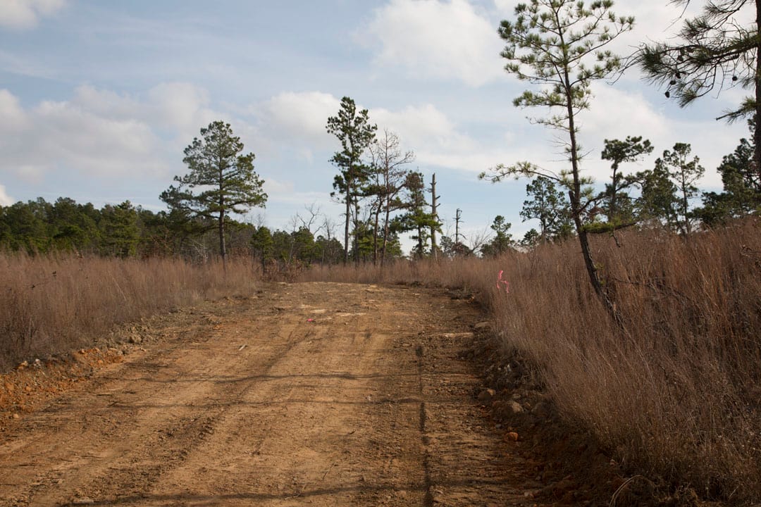 Stone Creek Phase III Tract 71 photo 3