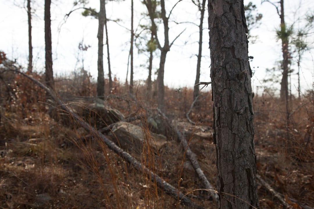 Stone Creek Phase III Tract 71 photo 4