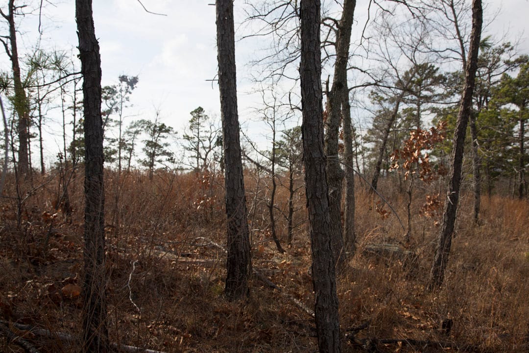 Stone Creek Phase III Tract 71 photo 5