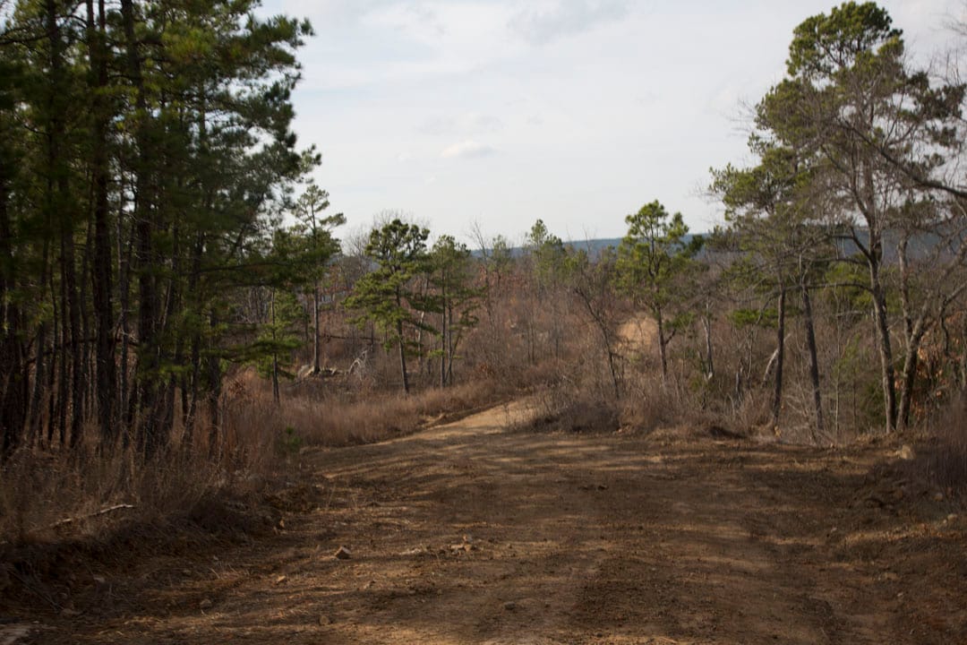 Stone Creek Phase III Tract 71 photo 6