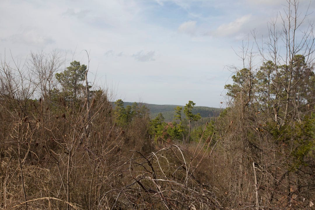 Stone Creek Phase III Tract 71 photo 7