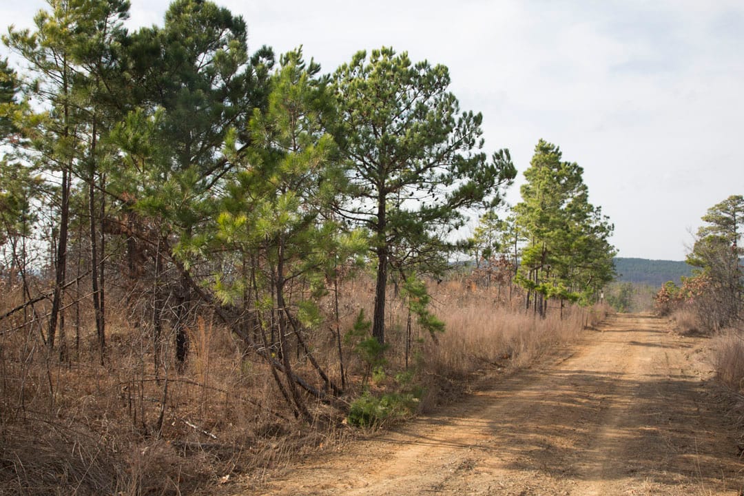 Stone Creek Phase III Tract 71 photo 8