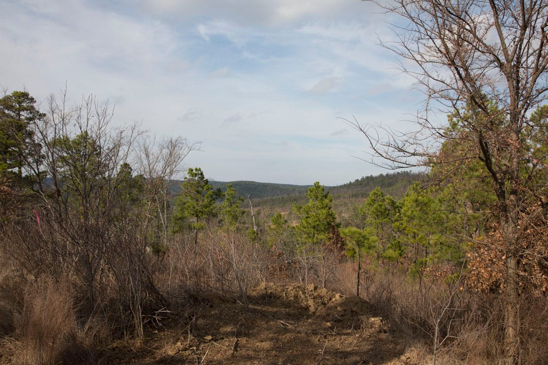 Stone Creek Phase III Tract 71 photo 9