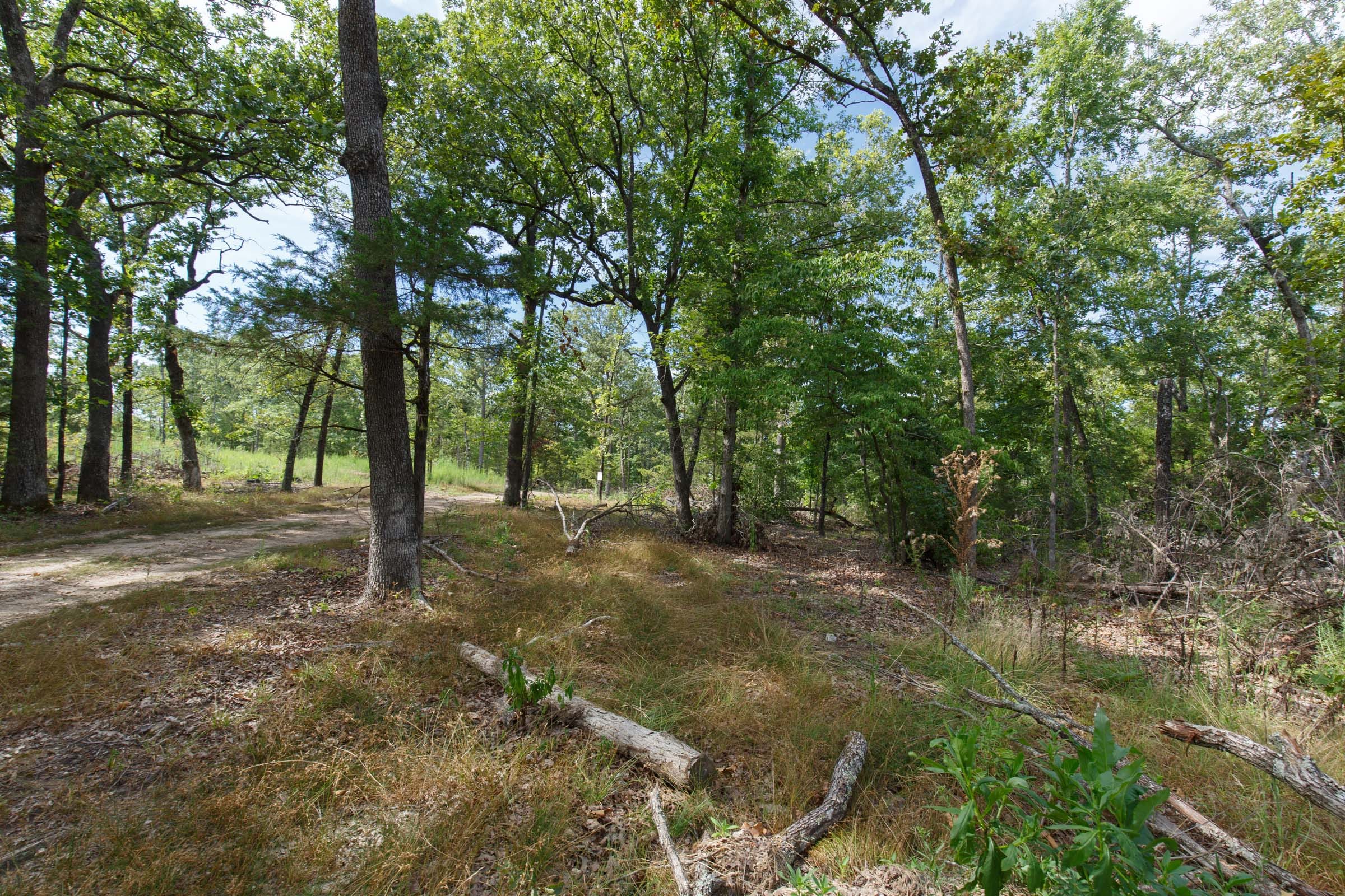 Wildwood Tract 24 photo 2
