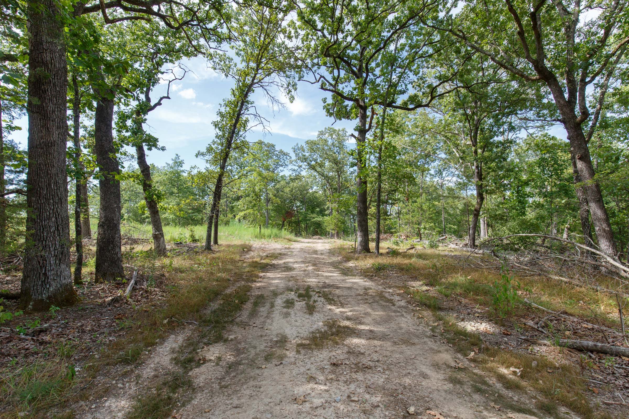 Wildwood Tract 24 photo 1