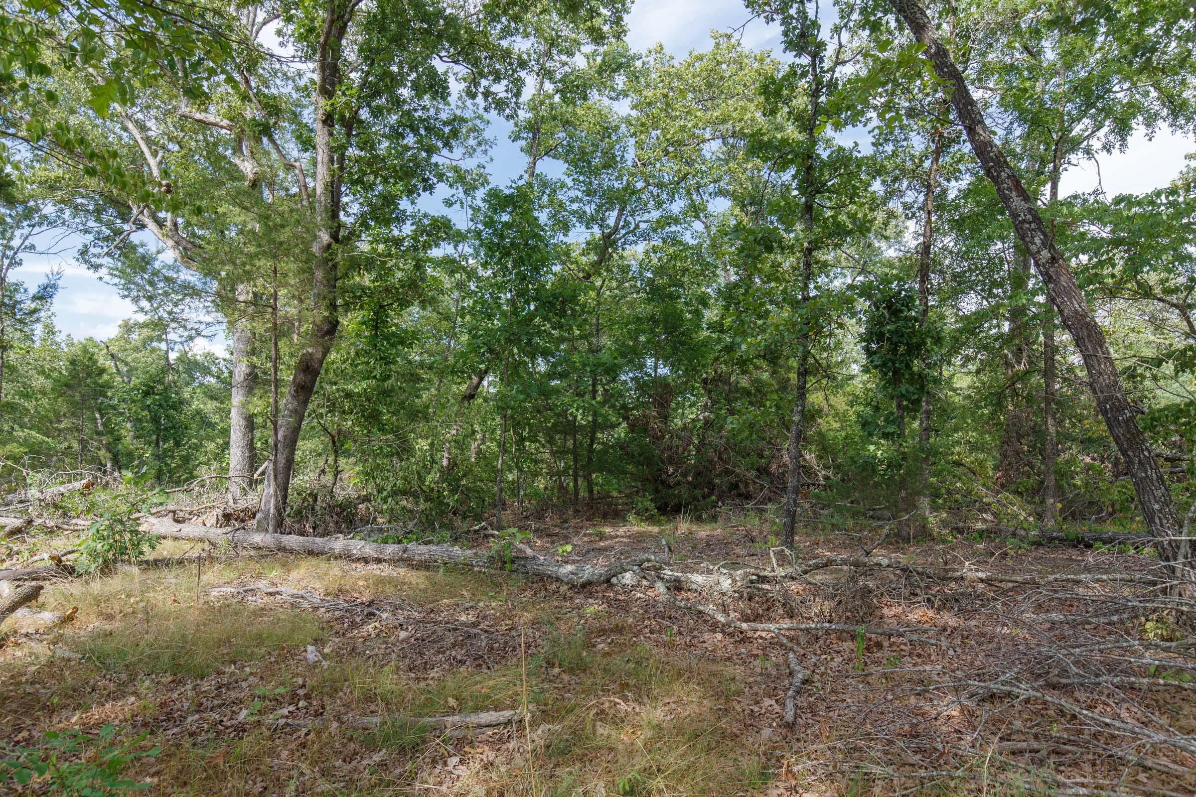 Wildwood Tract 24 photo 4
