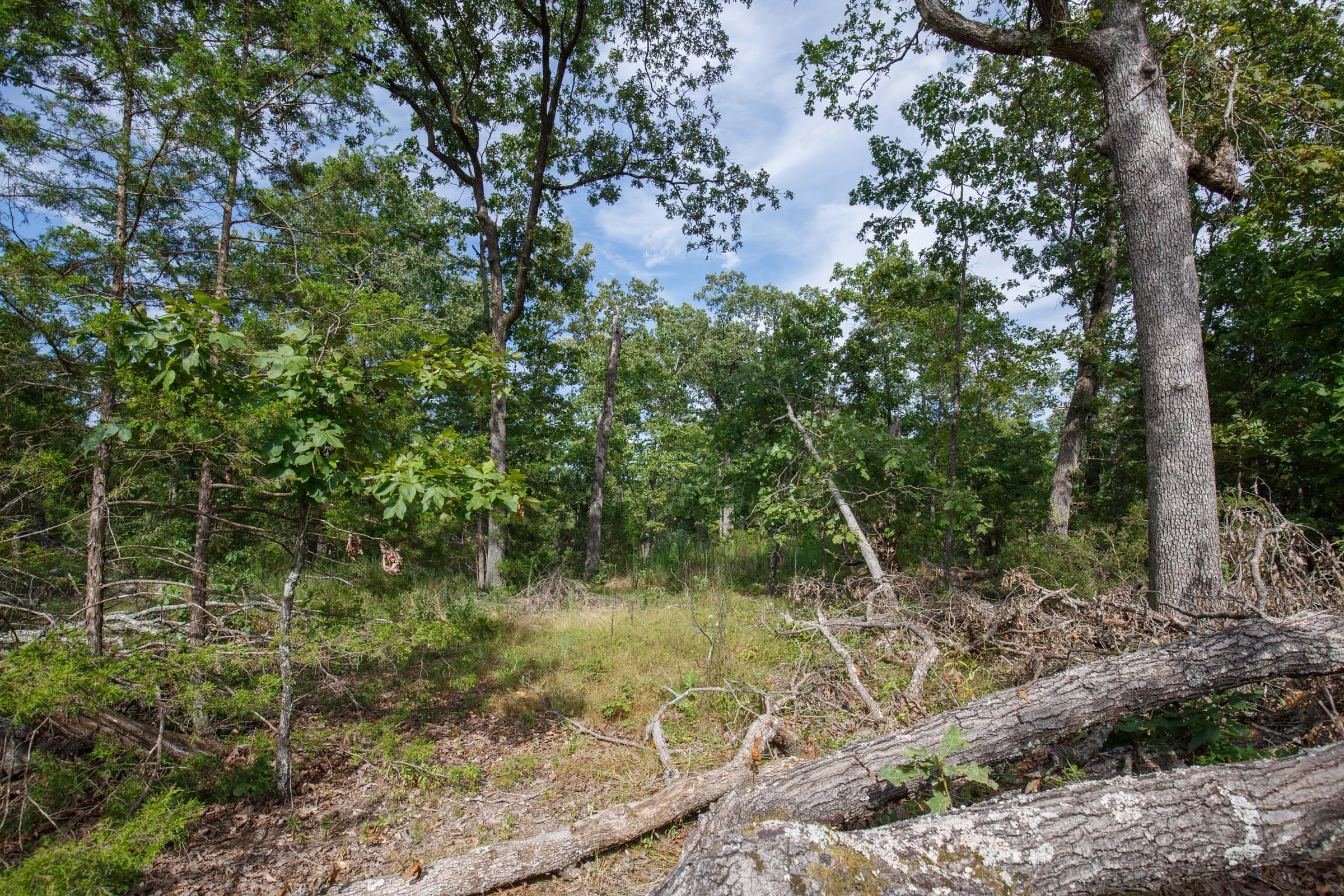 Wildwood Tract 24 photo 3