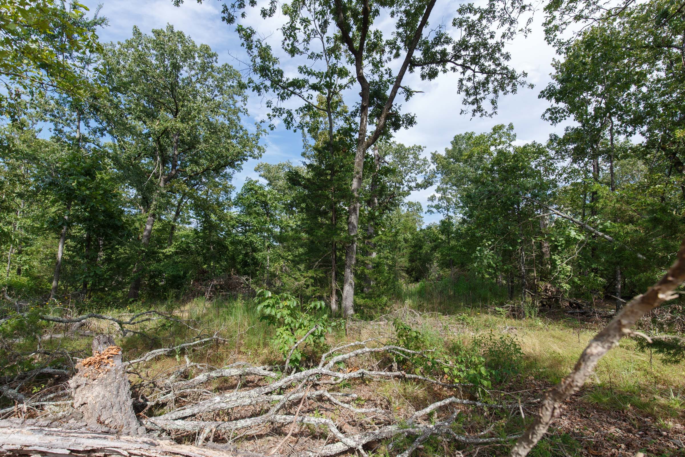Wildwood Tract 24 photo 5