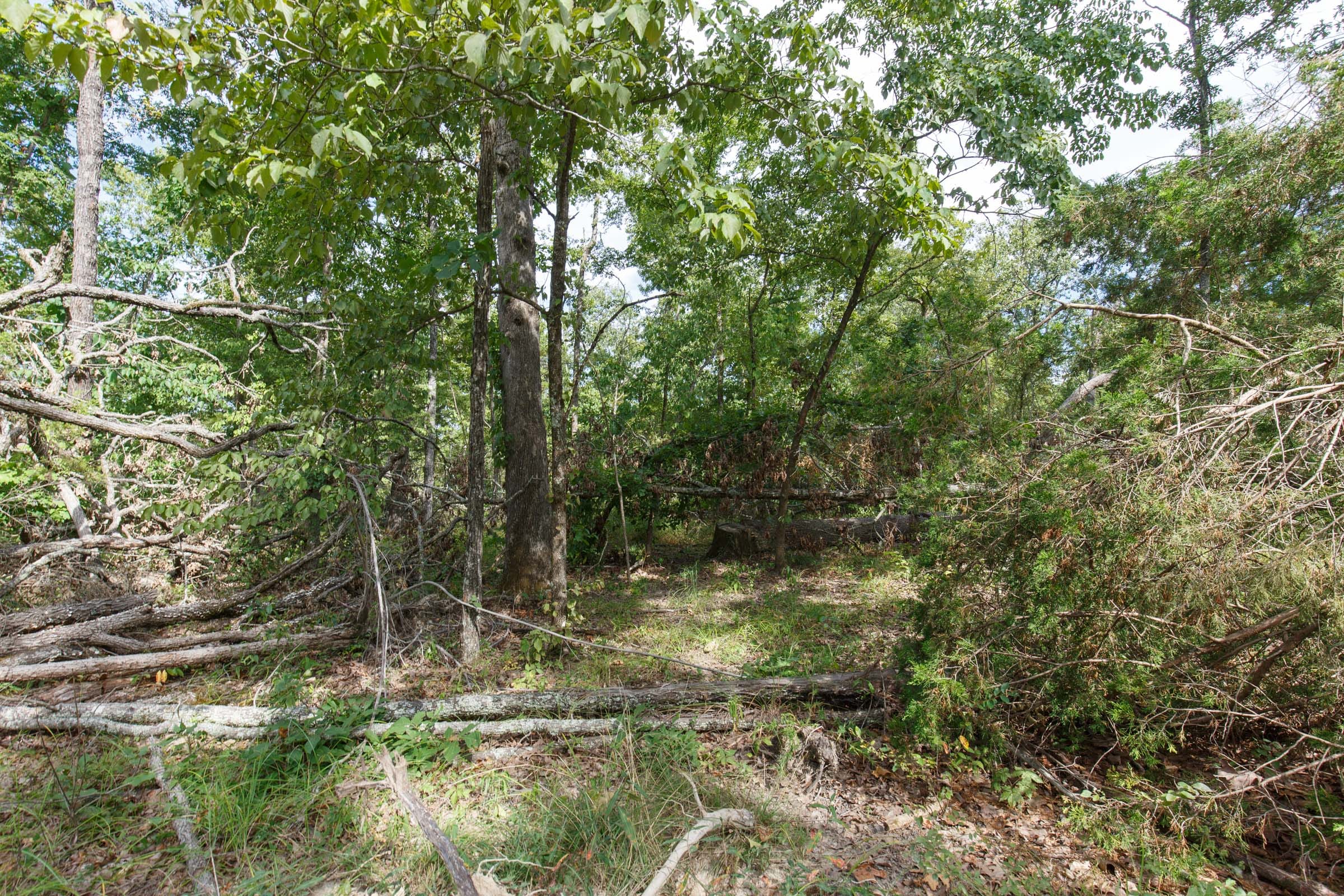 Wildwood Tract 24 photo 7