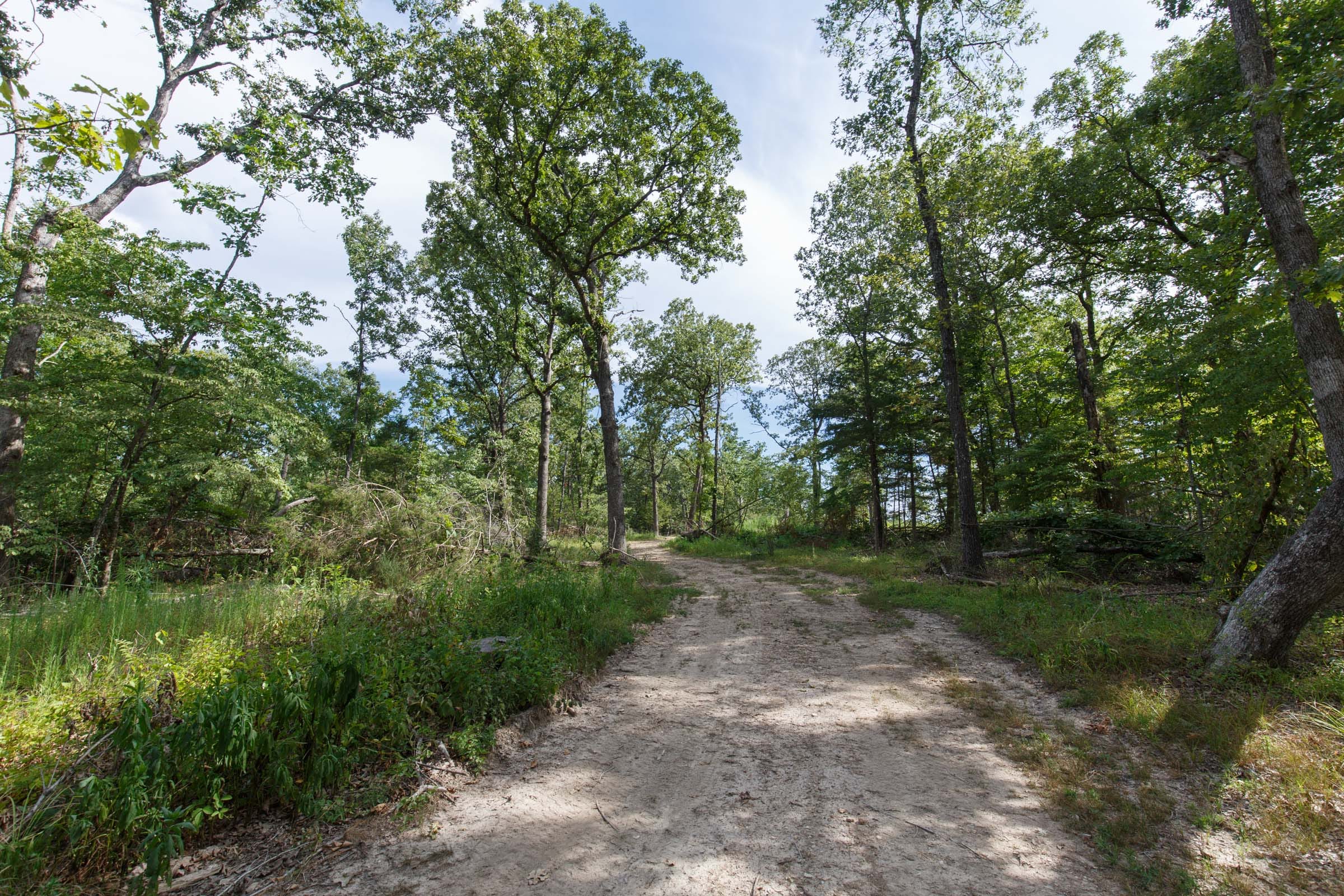 Wildwood Tract 24 photo 6