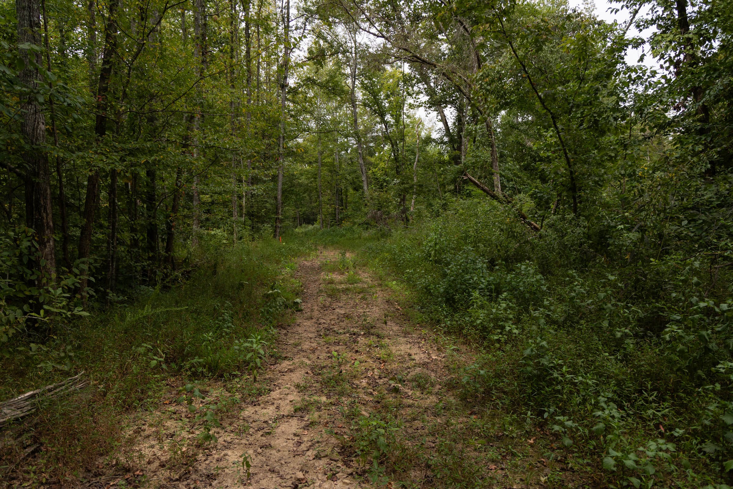 Big White Oak Tract 94 photo 7