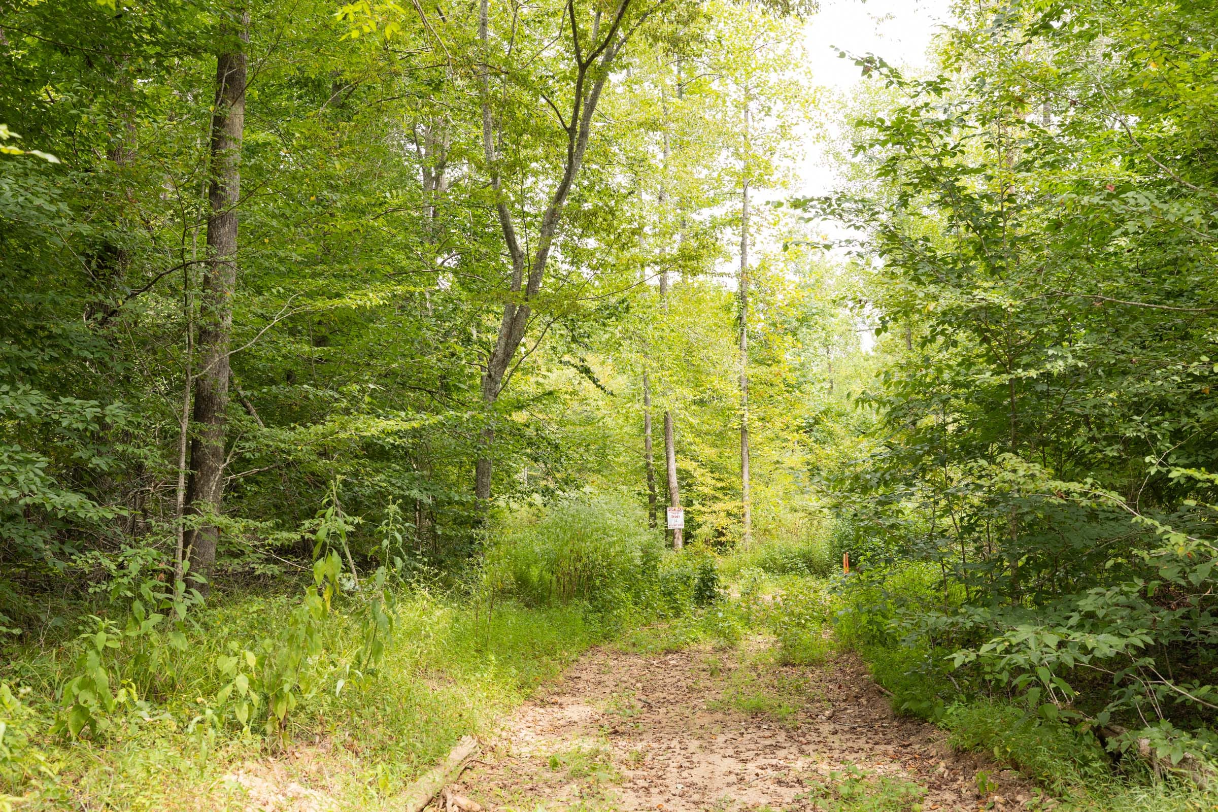 Big White Oak Tract 94 photo 1