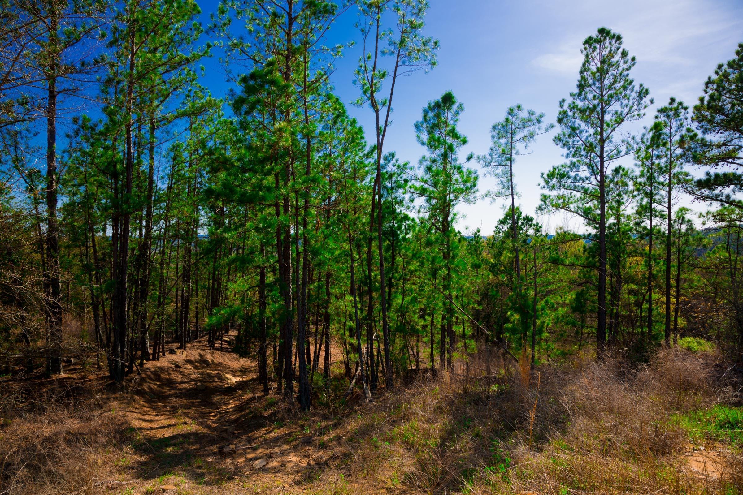 Stone Creek Phase II Tract 225 photo 3