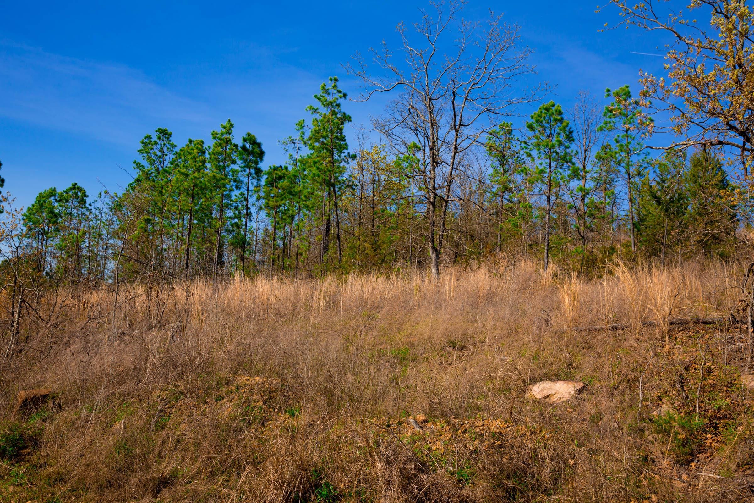 Stone Creek Phase II Tract 225 photo 4