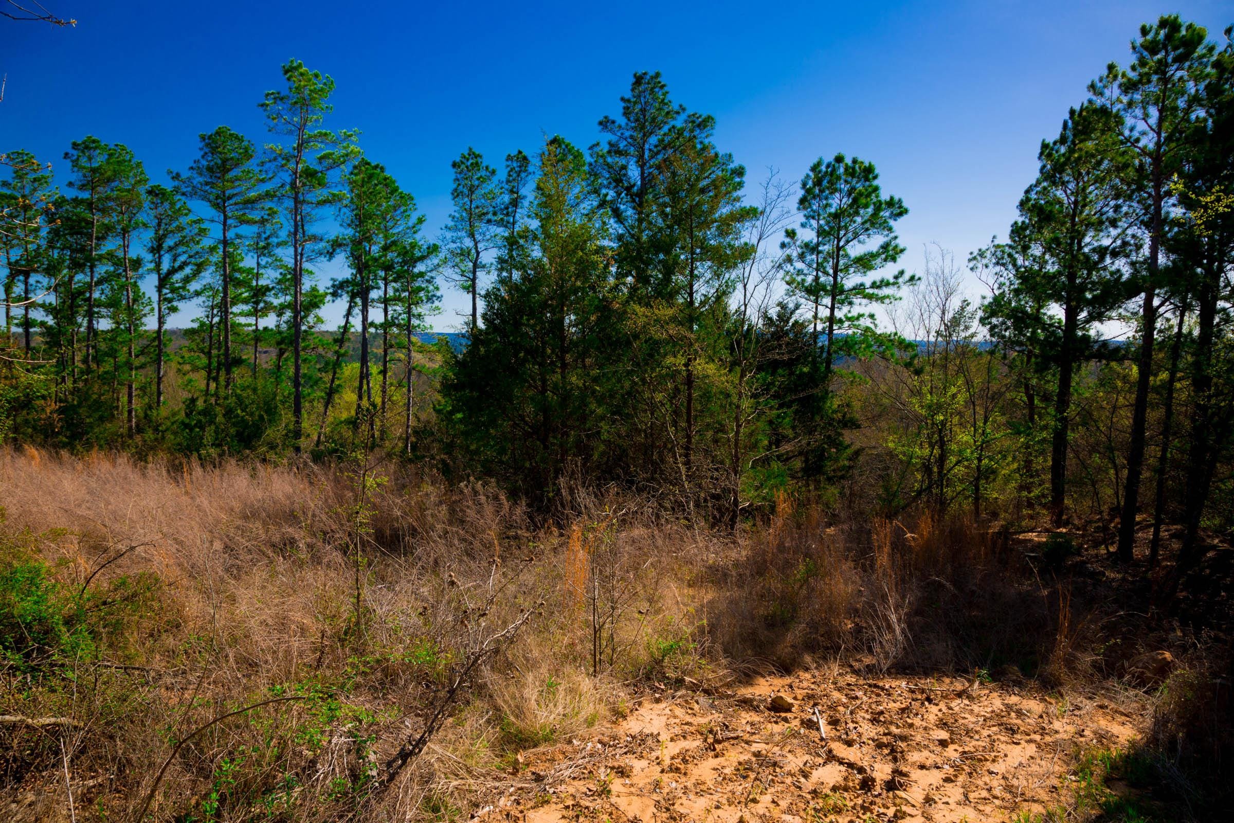 Stone Creek Phase II Tract 225 photo 6