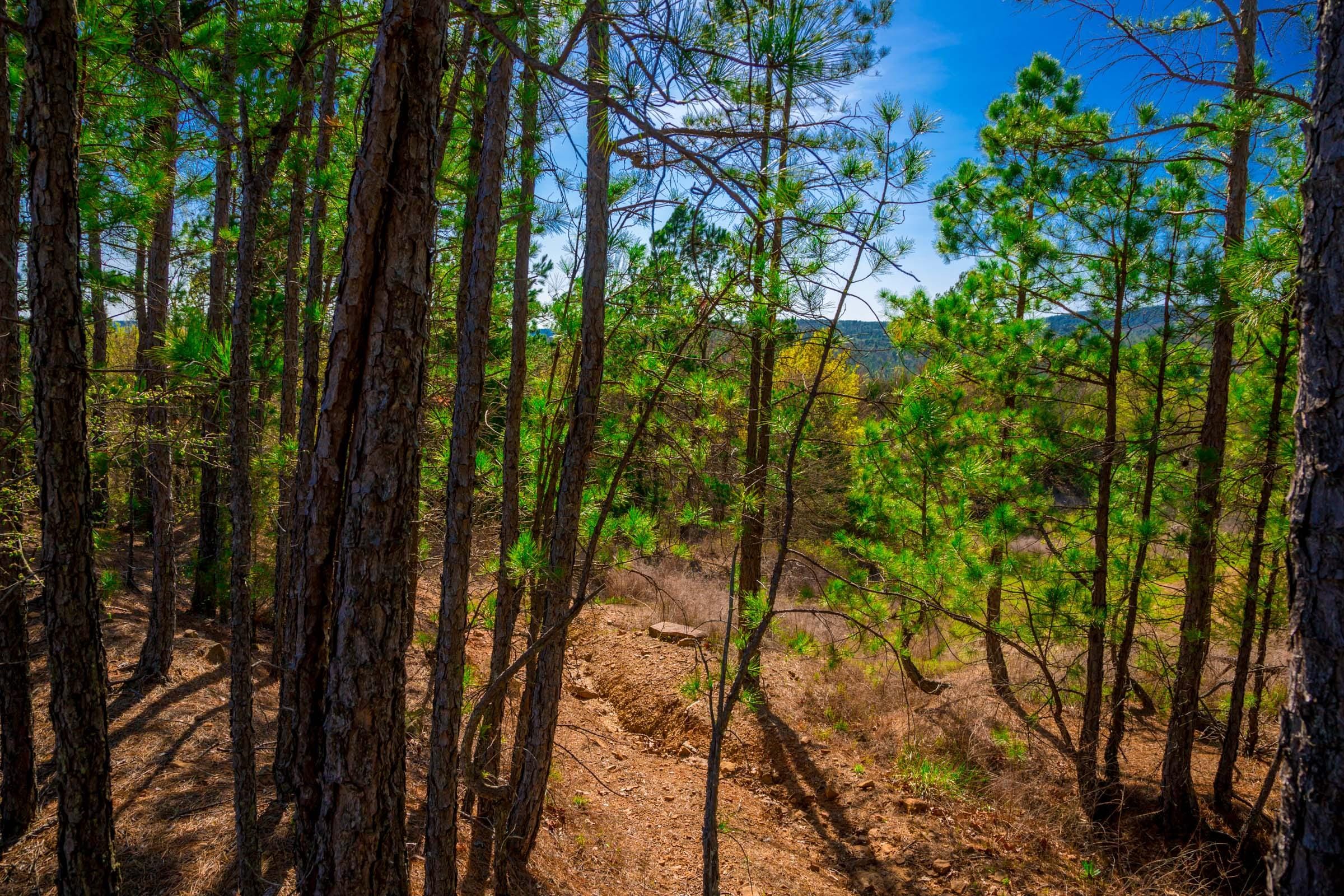 Stone Creek Phase II Tract 225 photo 7