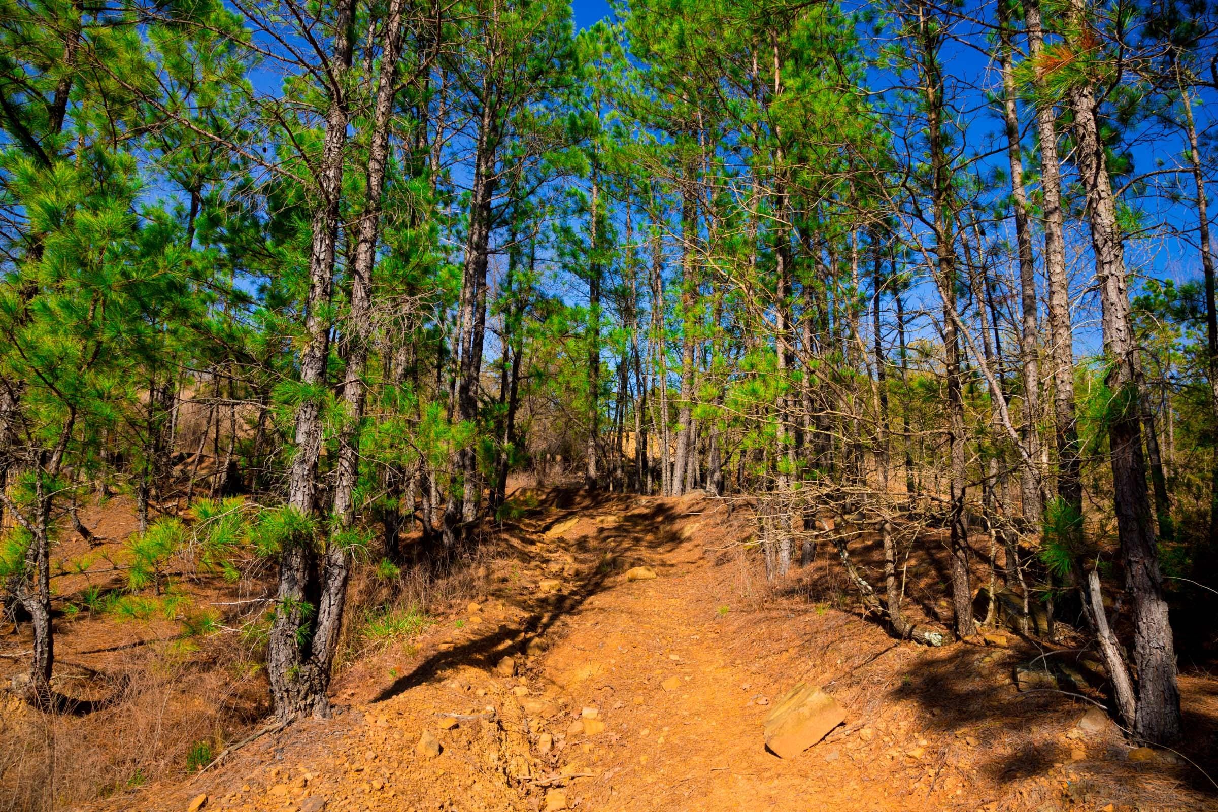Stone Creek Phase II Tract 225 photo 8