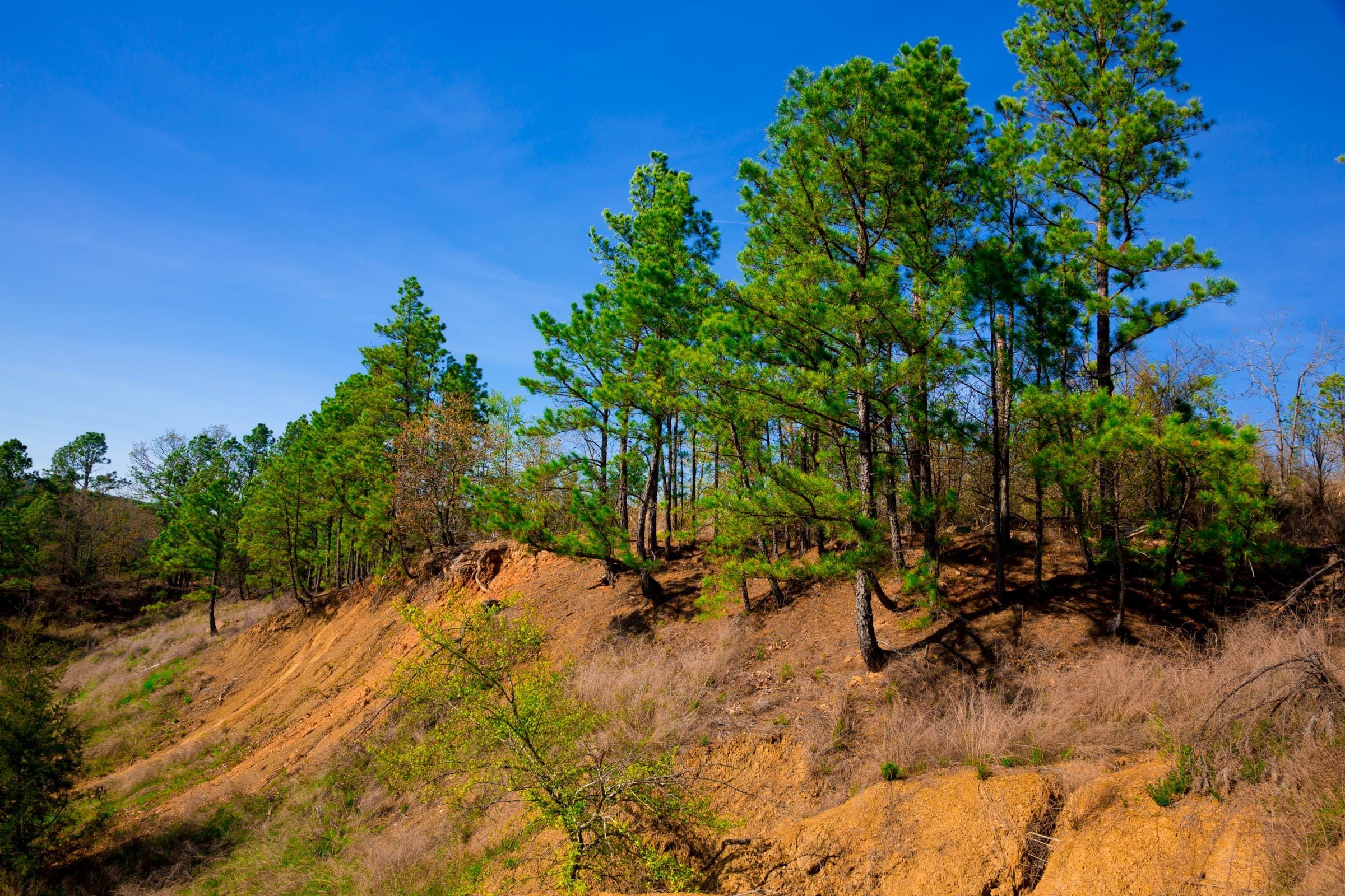 Stone Creek Phase II Tract 225 photo 9
