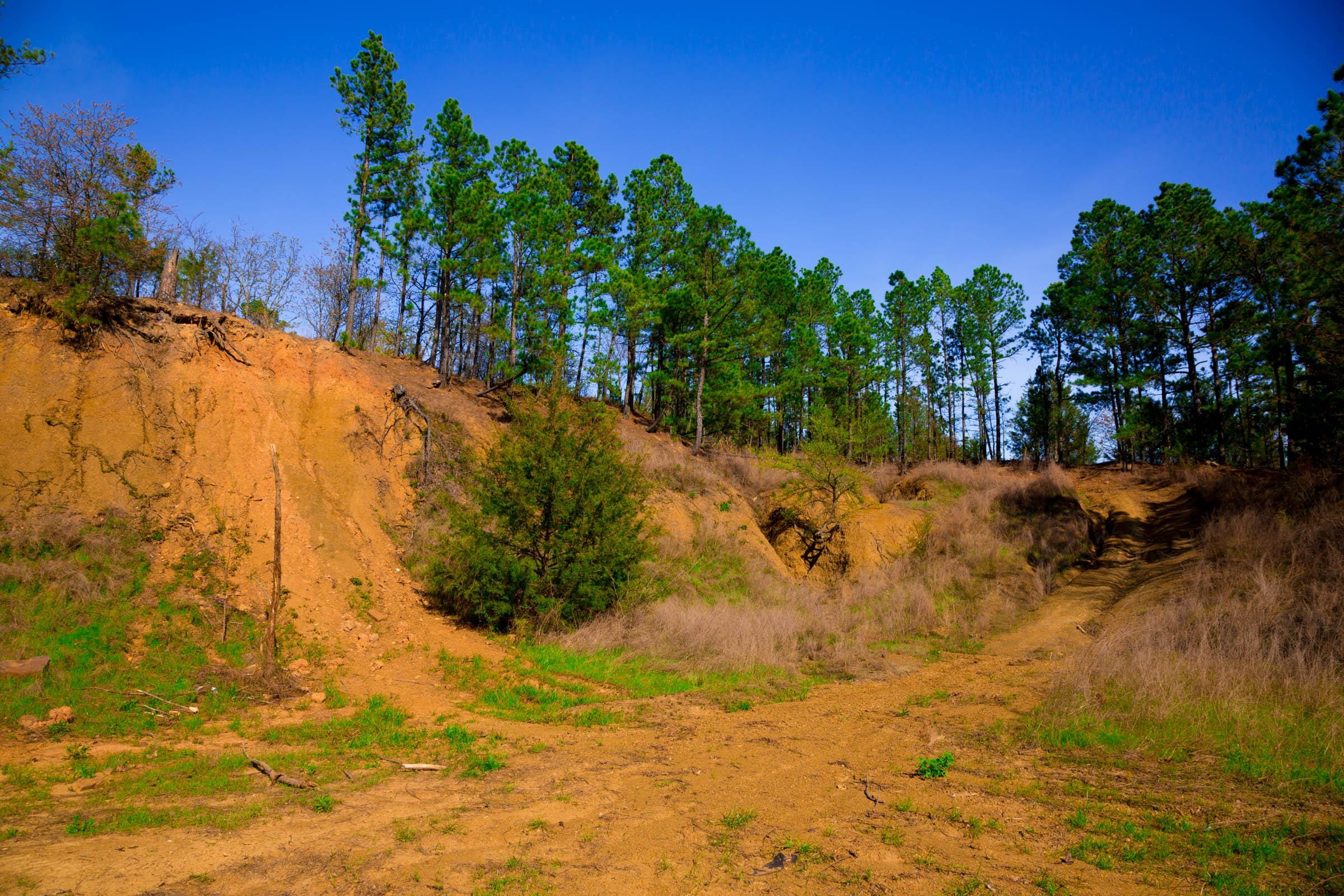 Stone Creek Phase II Tract 225 photo 10