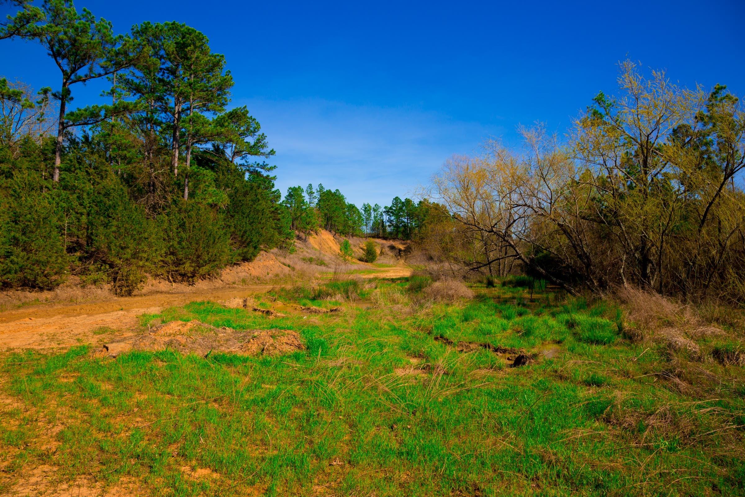 Stone Creek Phase II Tract 225 photo 14