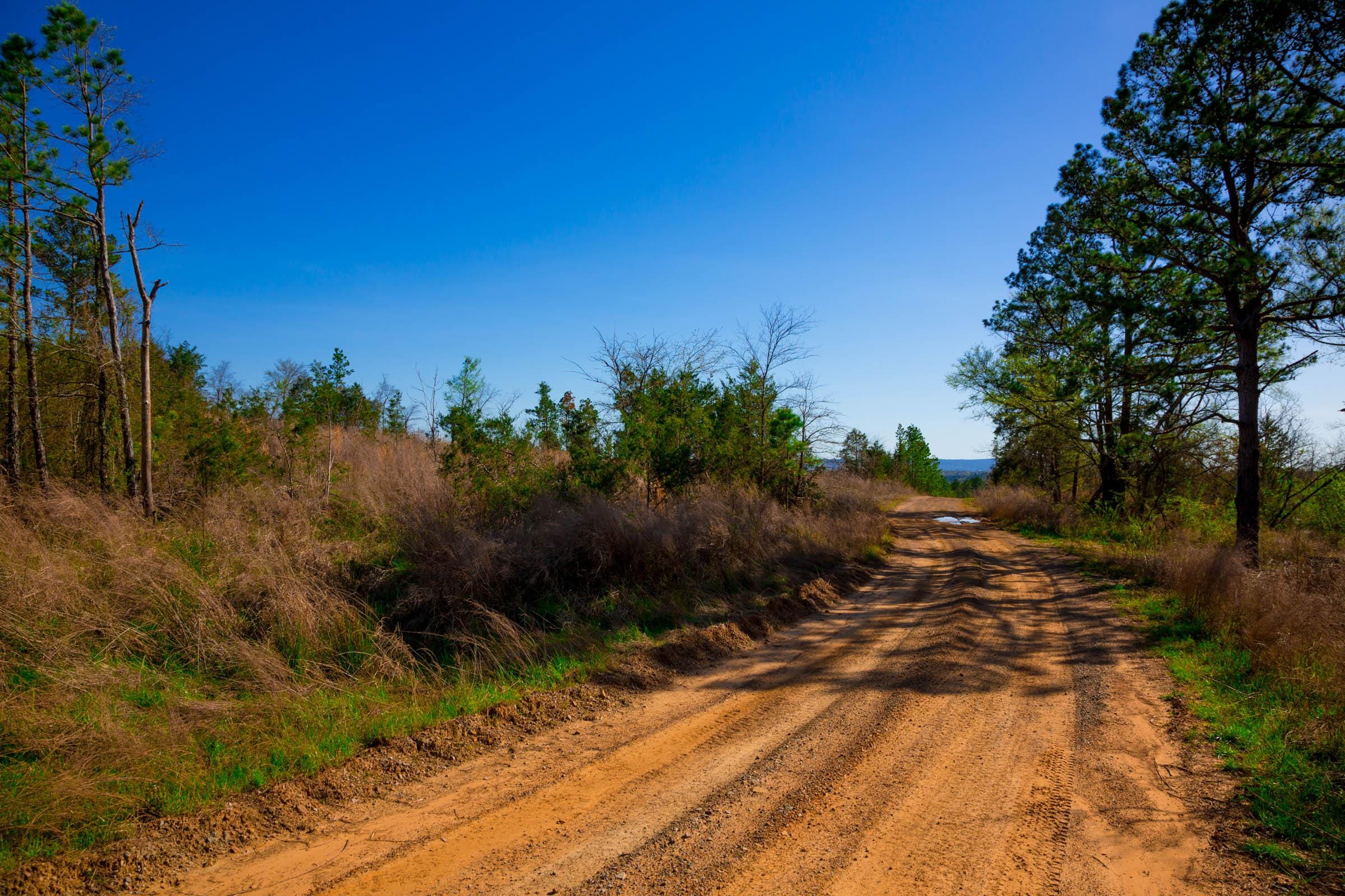 Stone Creek Phase II Tract 225 photo 11