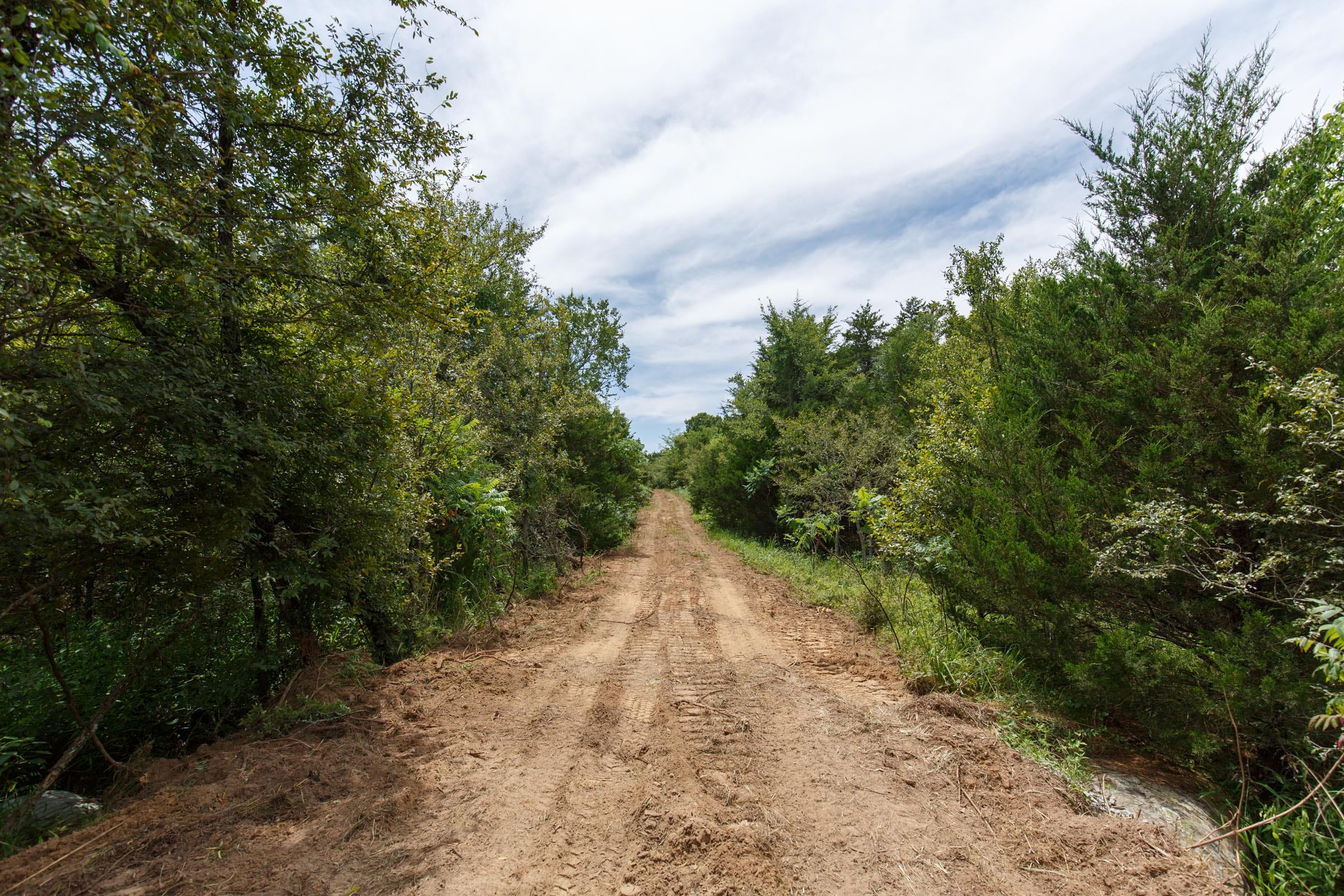 Timber Ridge Tract 14 photo 3
