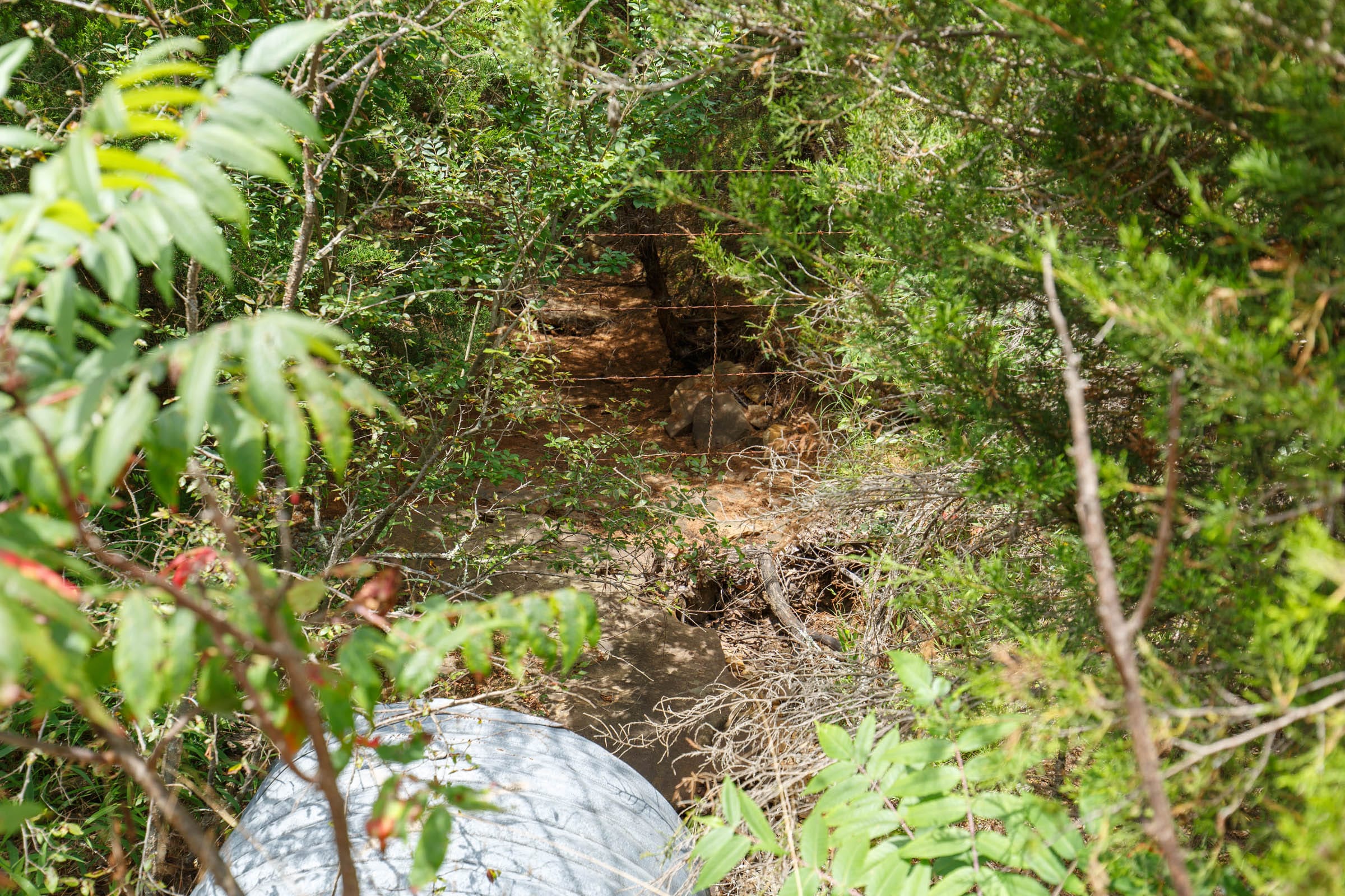 Timber Ridge Tract 14 photo 2