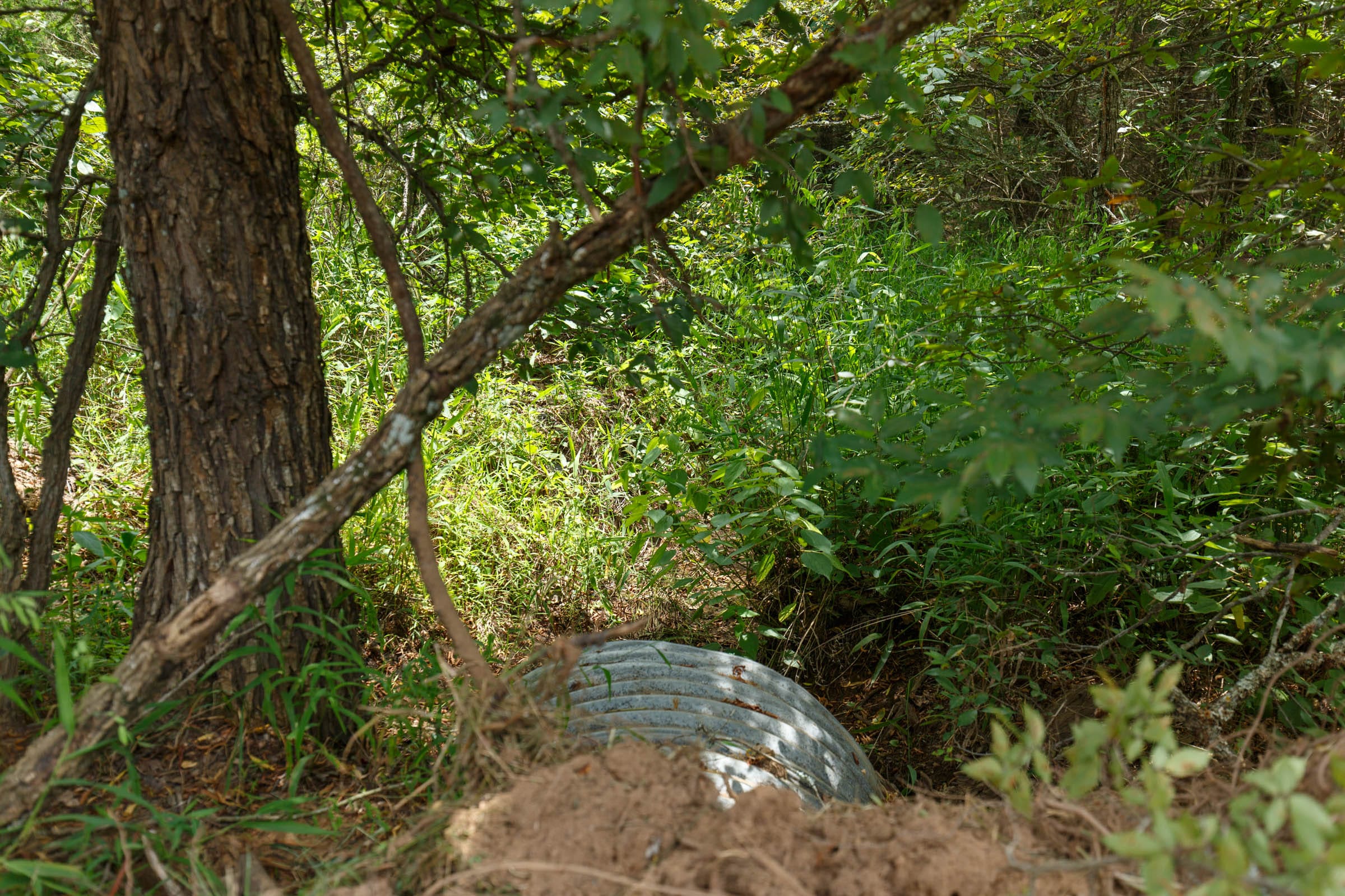 Timber Ridge Tract 14 photo 4