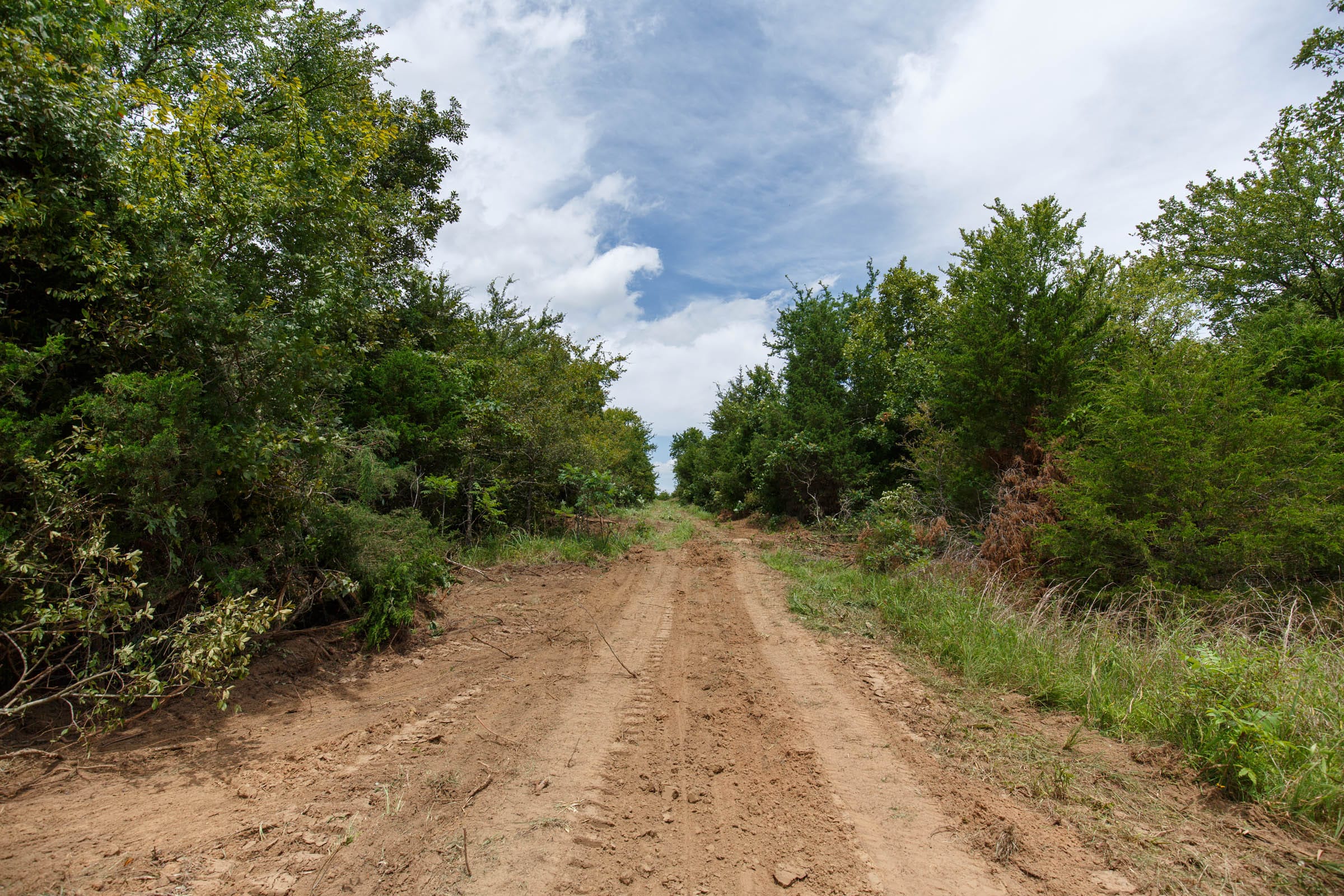 Timber Ridge Tract 14 photo 5