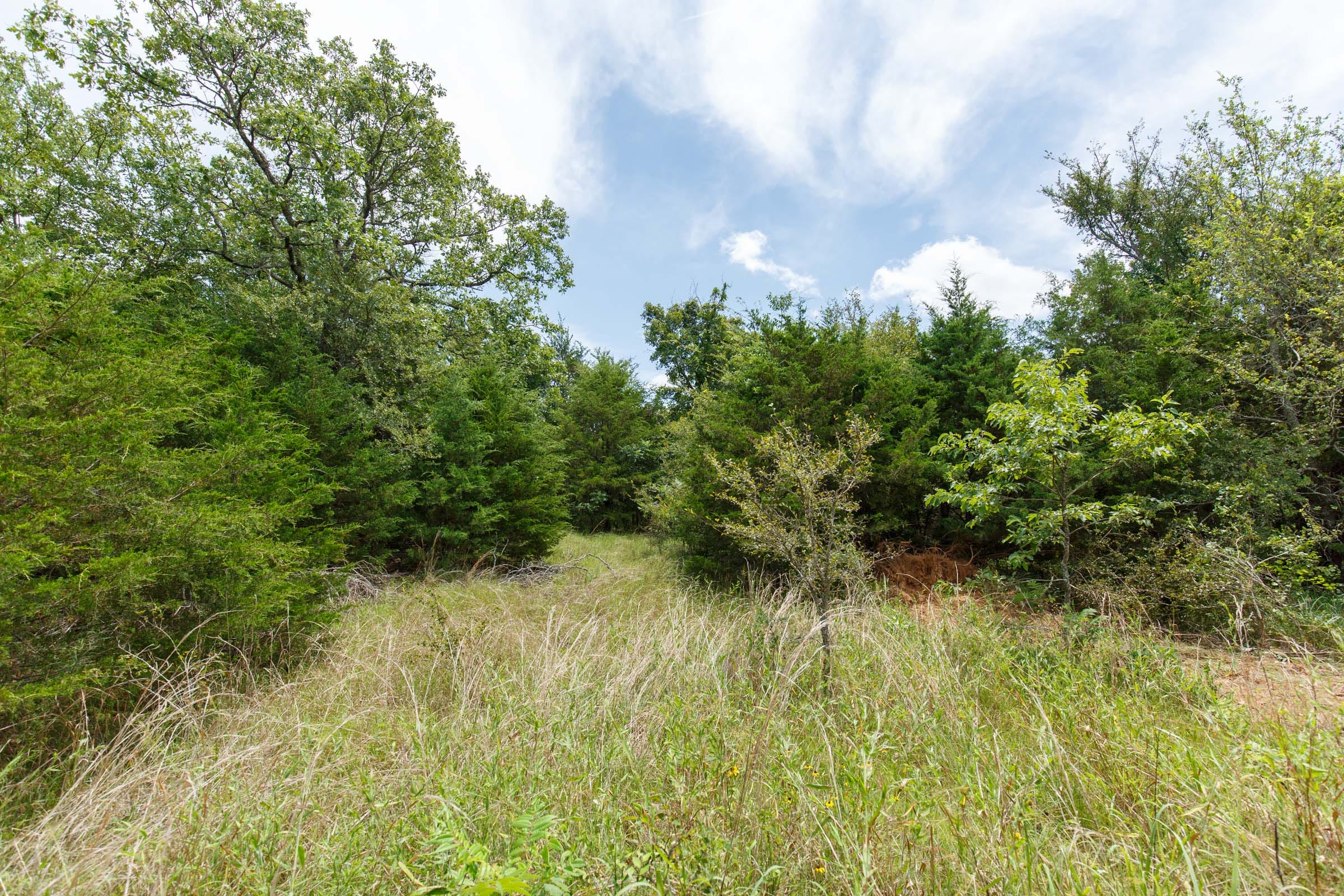 Timber Ridge Tract 14 photo 6